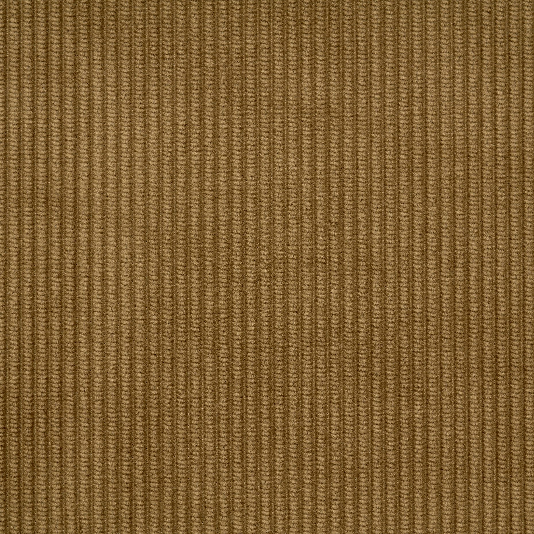 CORDUROY, COTTON, ELMWOOD (F000048475) - Texture