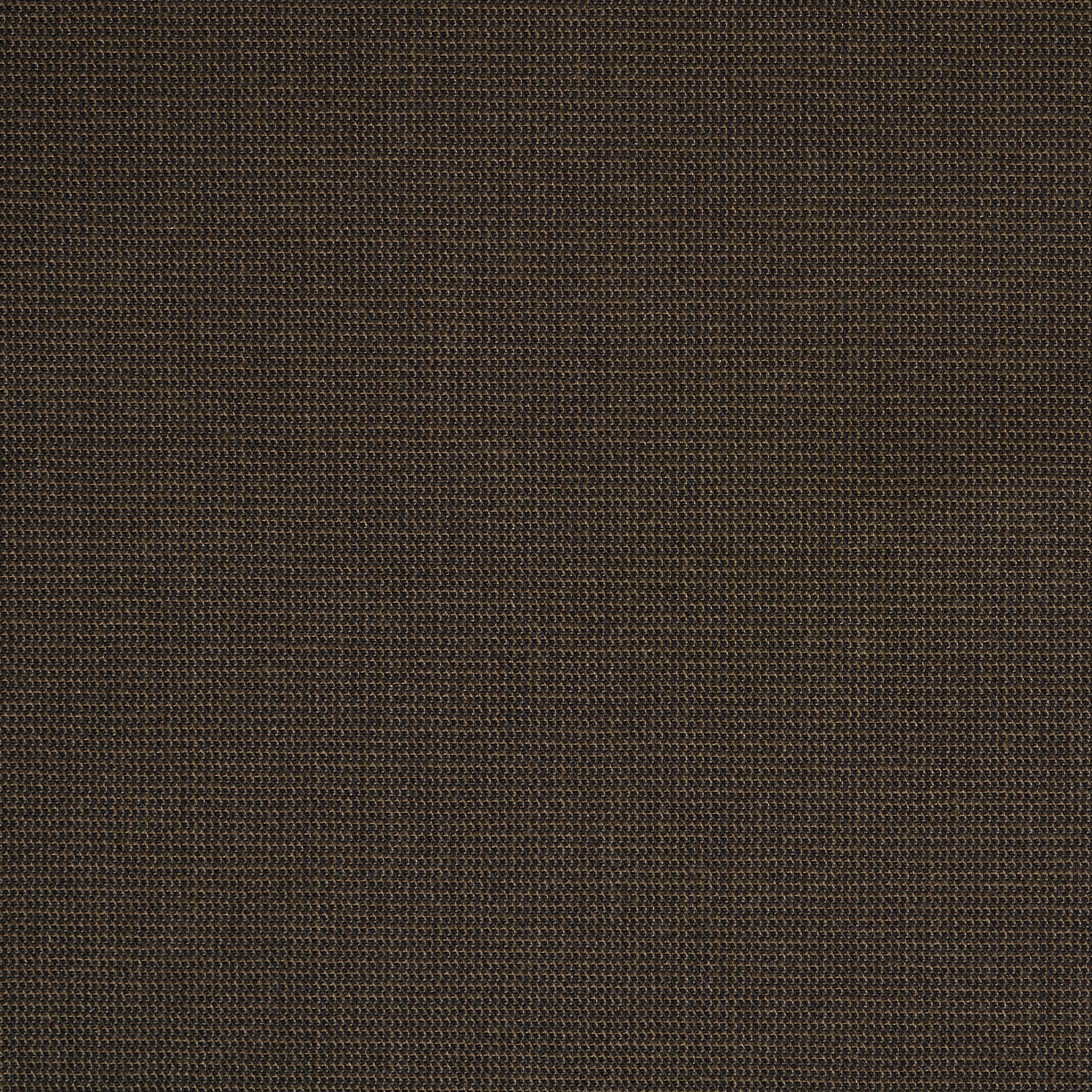 CANVAS, COTTON, MICRO DESIGN, CHESTNUT (F000012680) - Texture