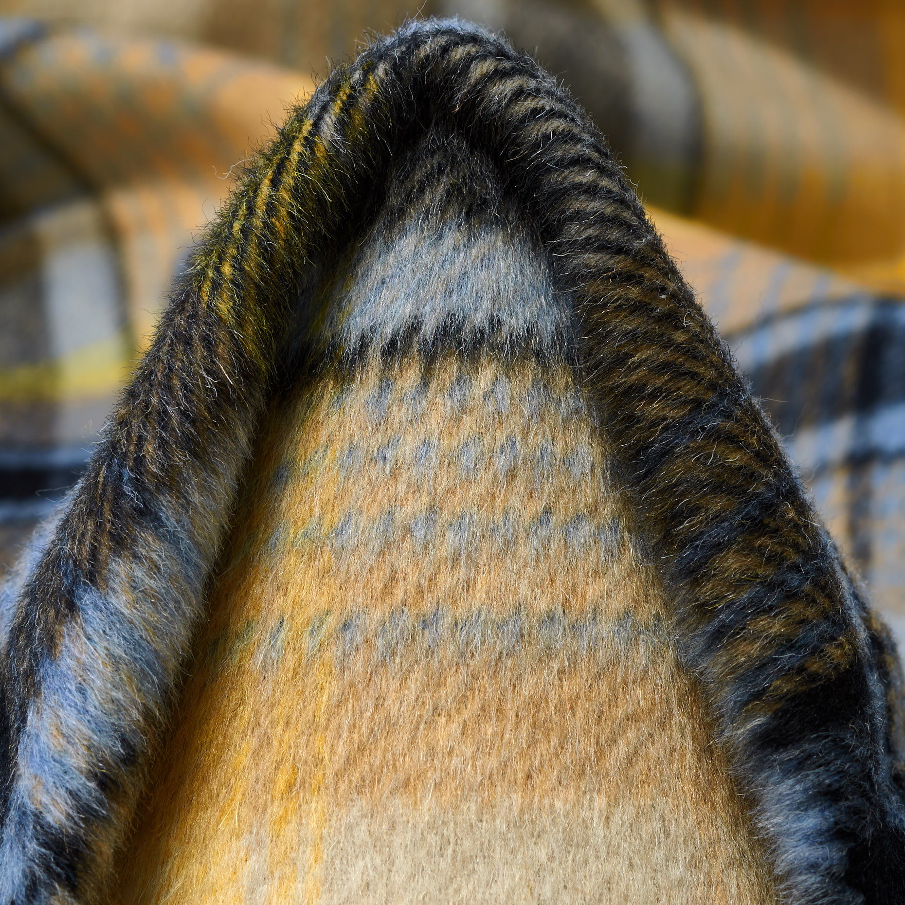 WOOL BLEND, CHECK, BRUSHED, PEARL BLUE&TAN (F000045364)