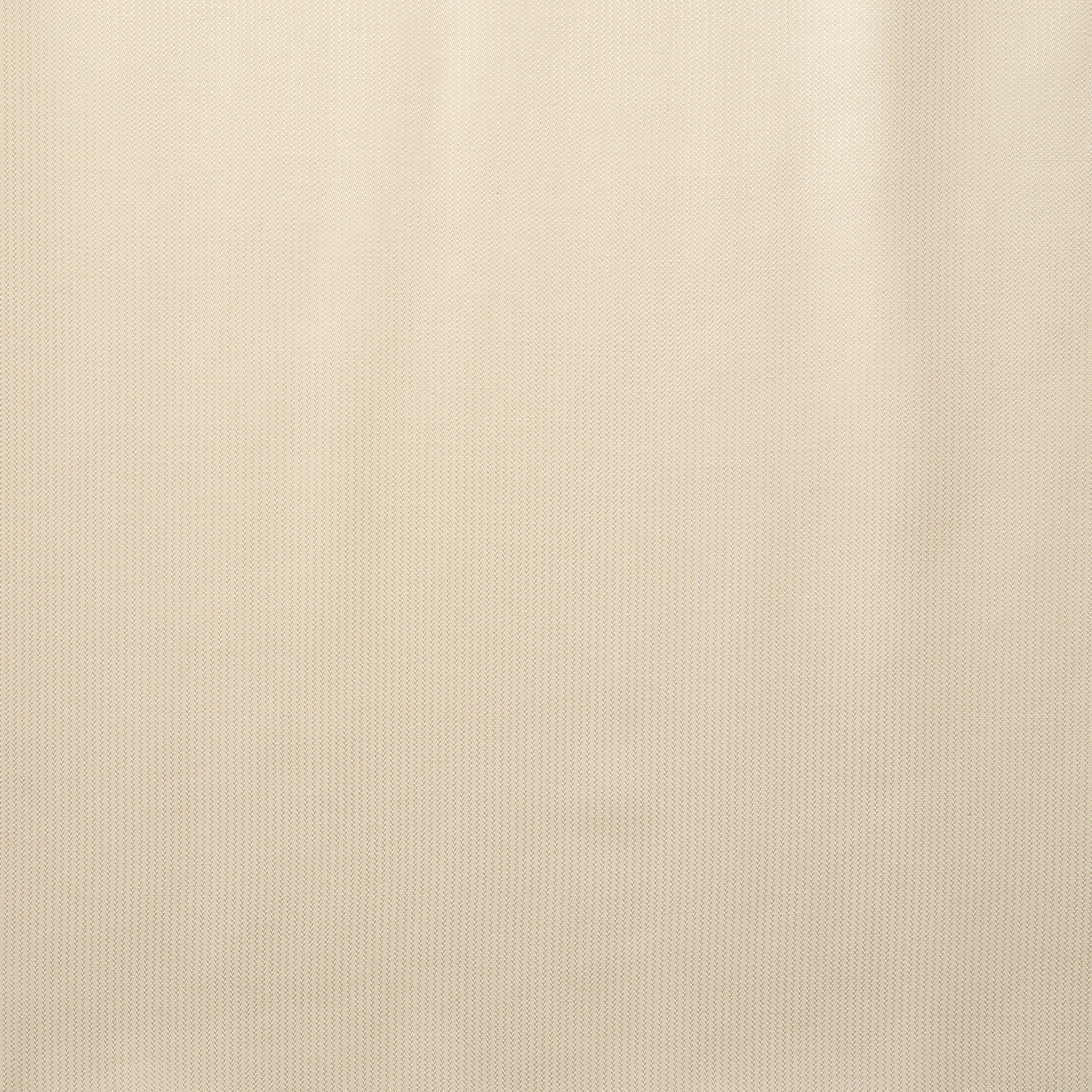 COTTON, VISCOSE, MICRO DESIGN, SNOW WHITE (F000025278) - Texture