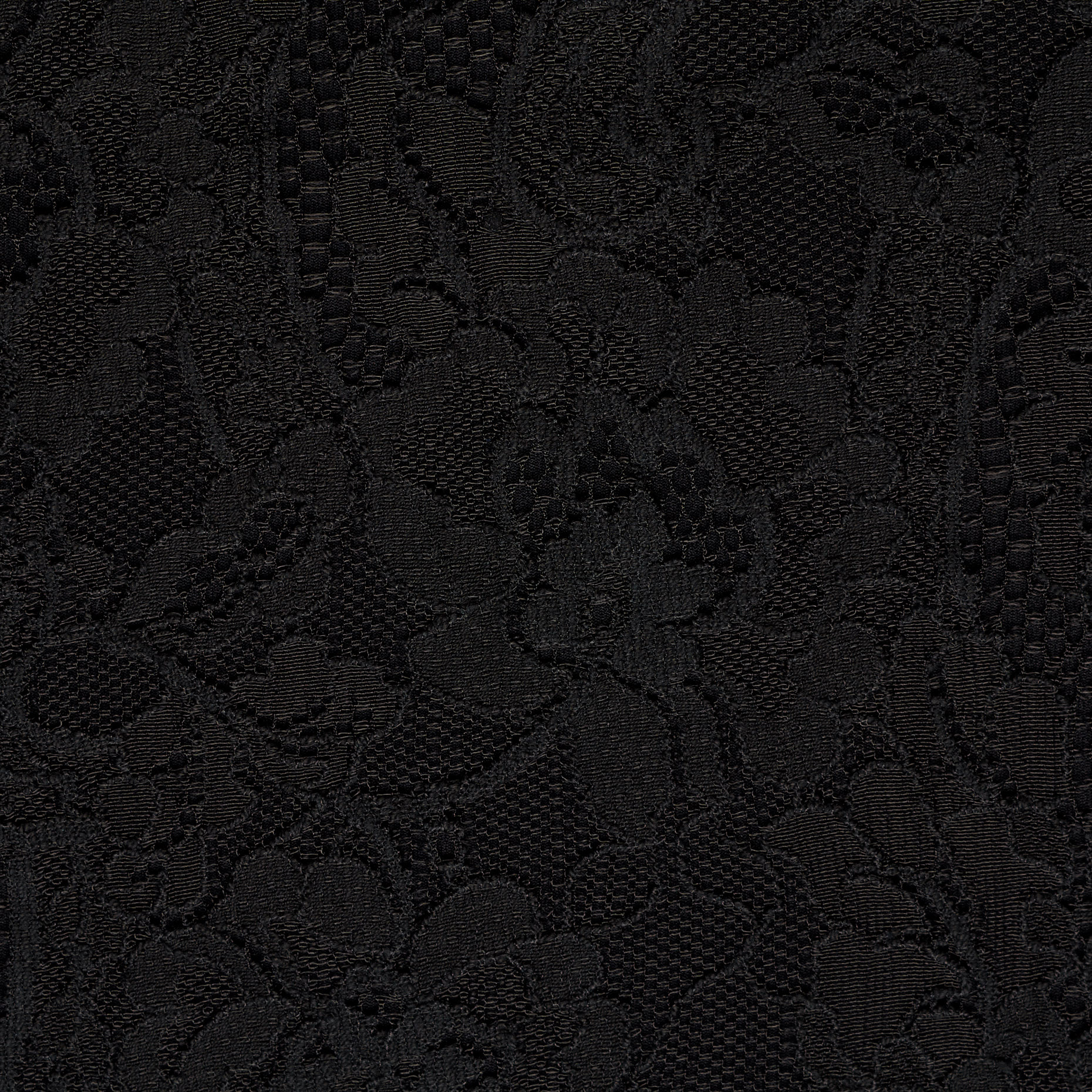 LACE, COTTON, FLORAL, RAVEN BLACK (T0000431) - Texture