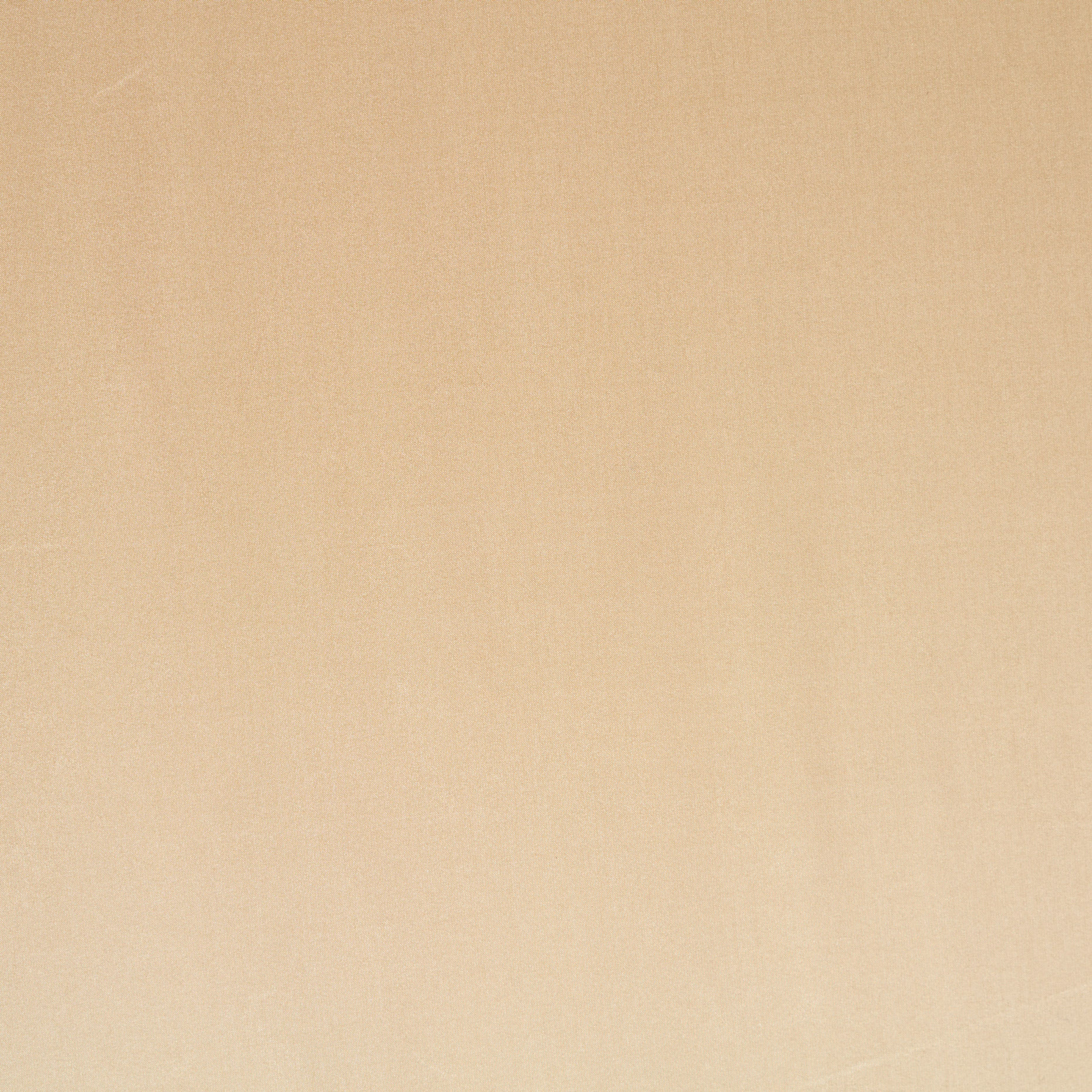 OUTDOOR, TRANSPARENT, SHINY, ALMOND (F000041673) - Texture