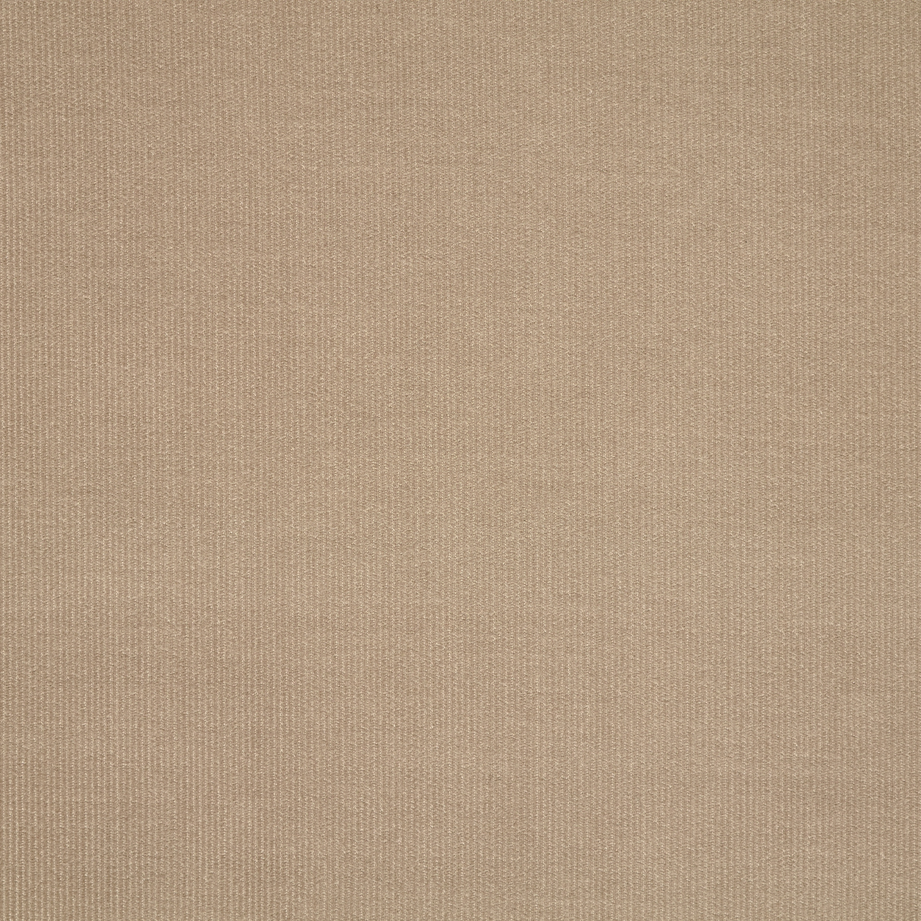CORDUROY, COTTON, OYSTER GRAY (F000047947) - Texture