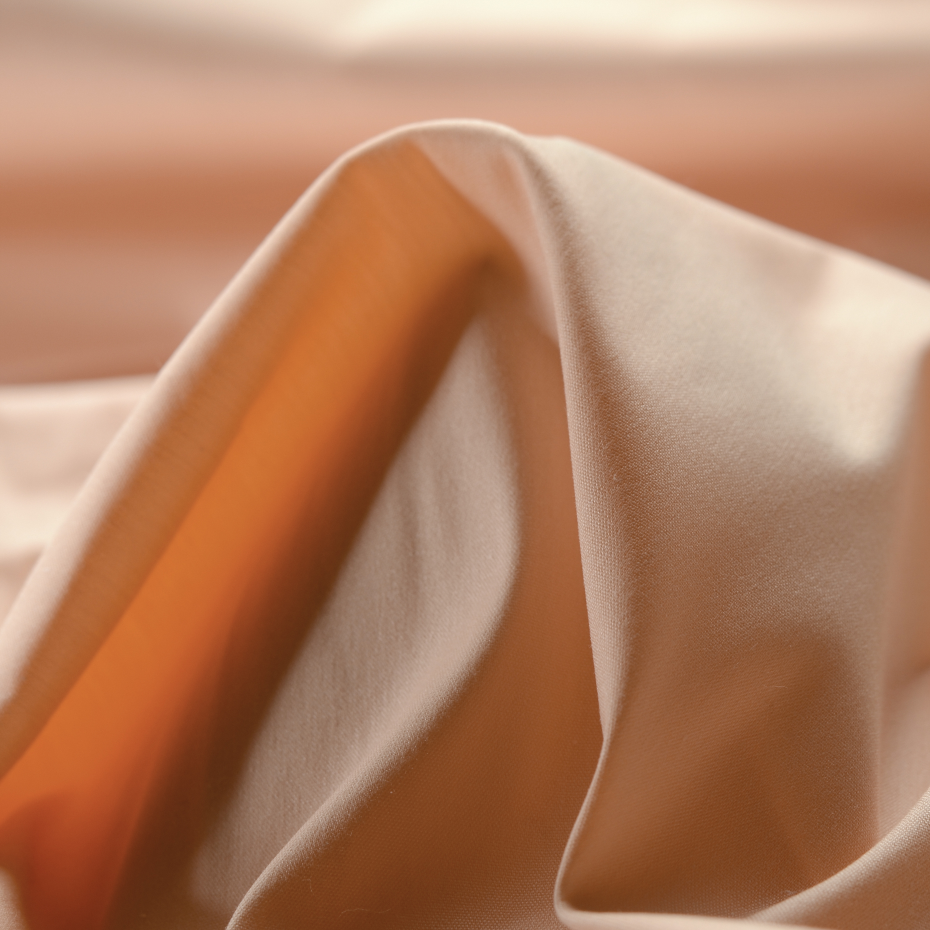 POPLIN, COTTON, ELASTIC, CRÈME DE PÊCHE (F000015922)