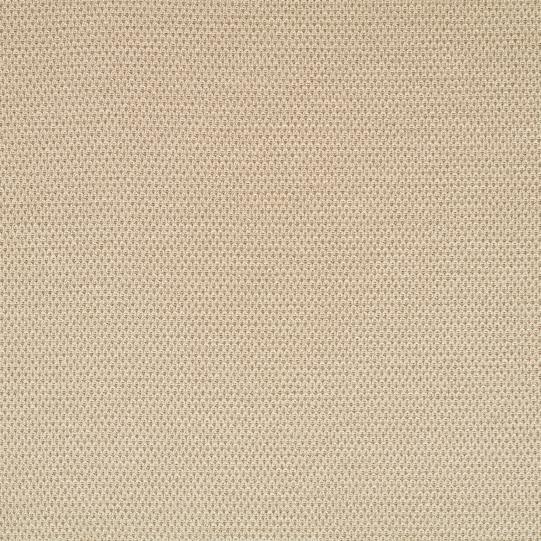 Jersey, Piquet, Cotone, Oyster Gray (F000044108) - Trama