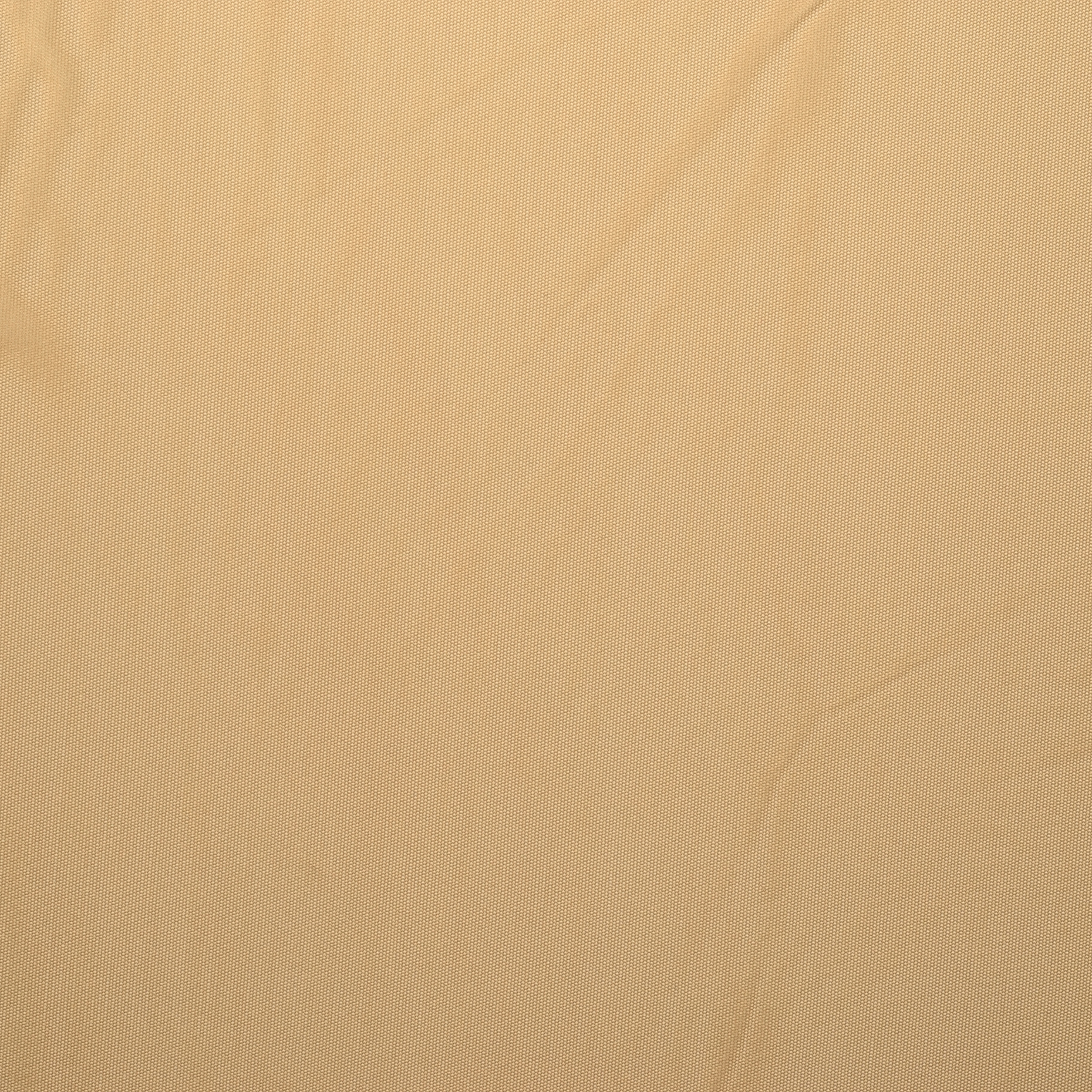 Jersey, Trasparente, Reluciente, Gilded Beige (F0000048) - Tejido