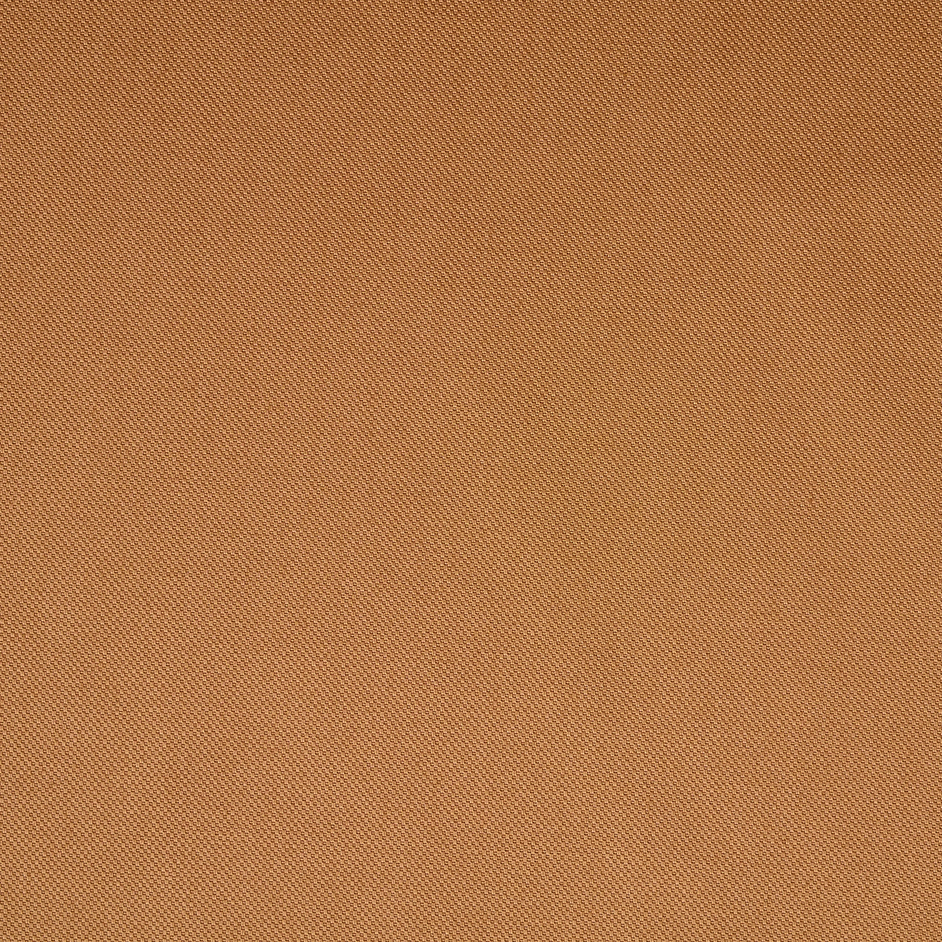 PIQUÉ, COTTON ELASTIC, BISCUIT (F000034514) - Texture