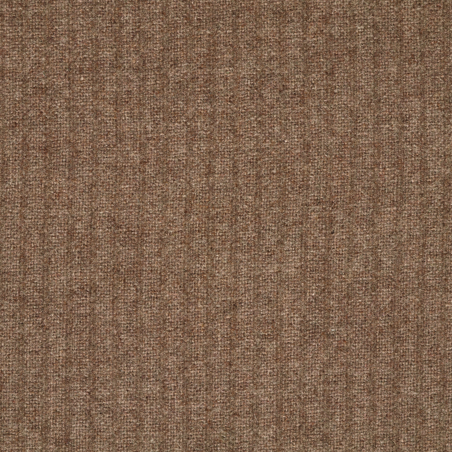 BOILED WOOL, BOILED WOOL, MELANGE, AFFOGATO (F000047695) - Texture