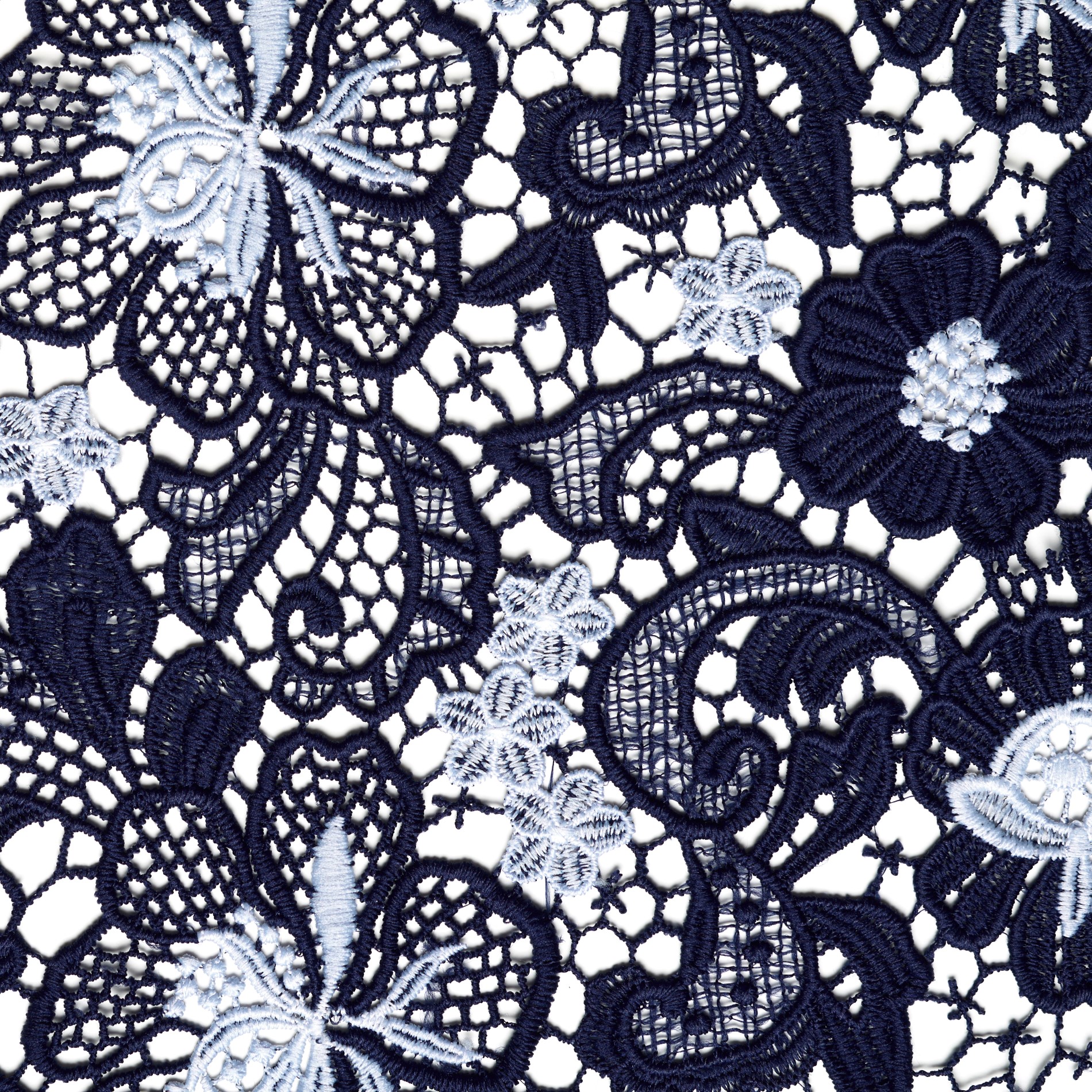 Spitze, Dark Navy&Snow White (F000033271) - Gewebe