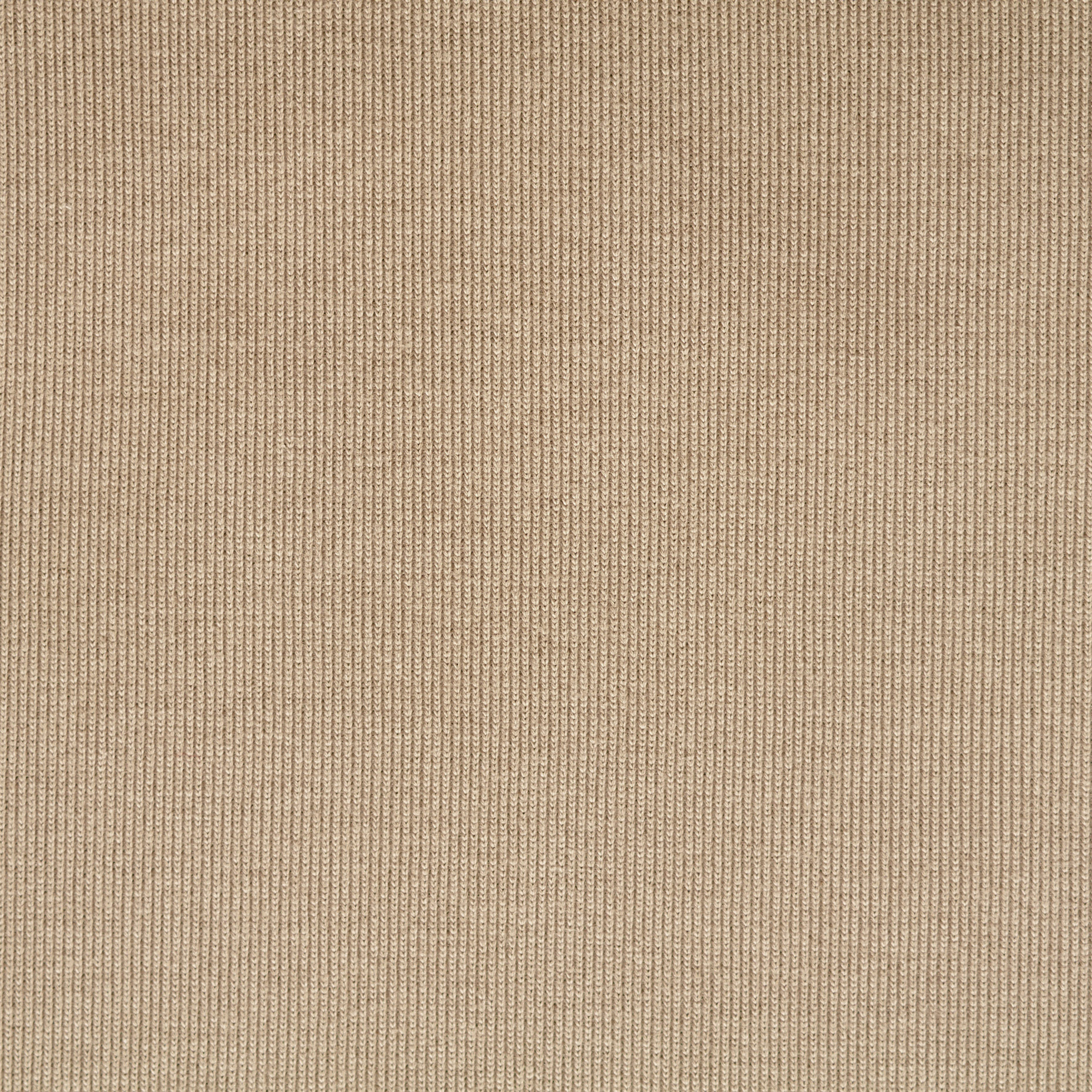 Jersey a costine, Cotone, Light Taupe (F000046315) - Trama