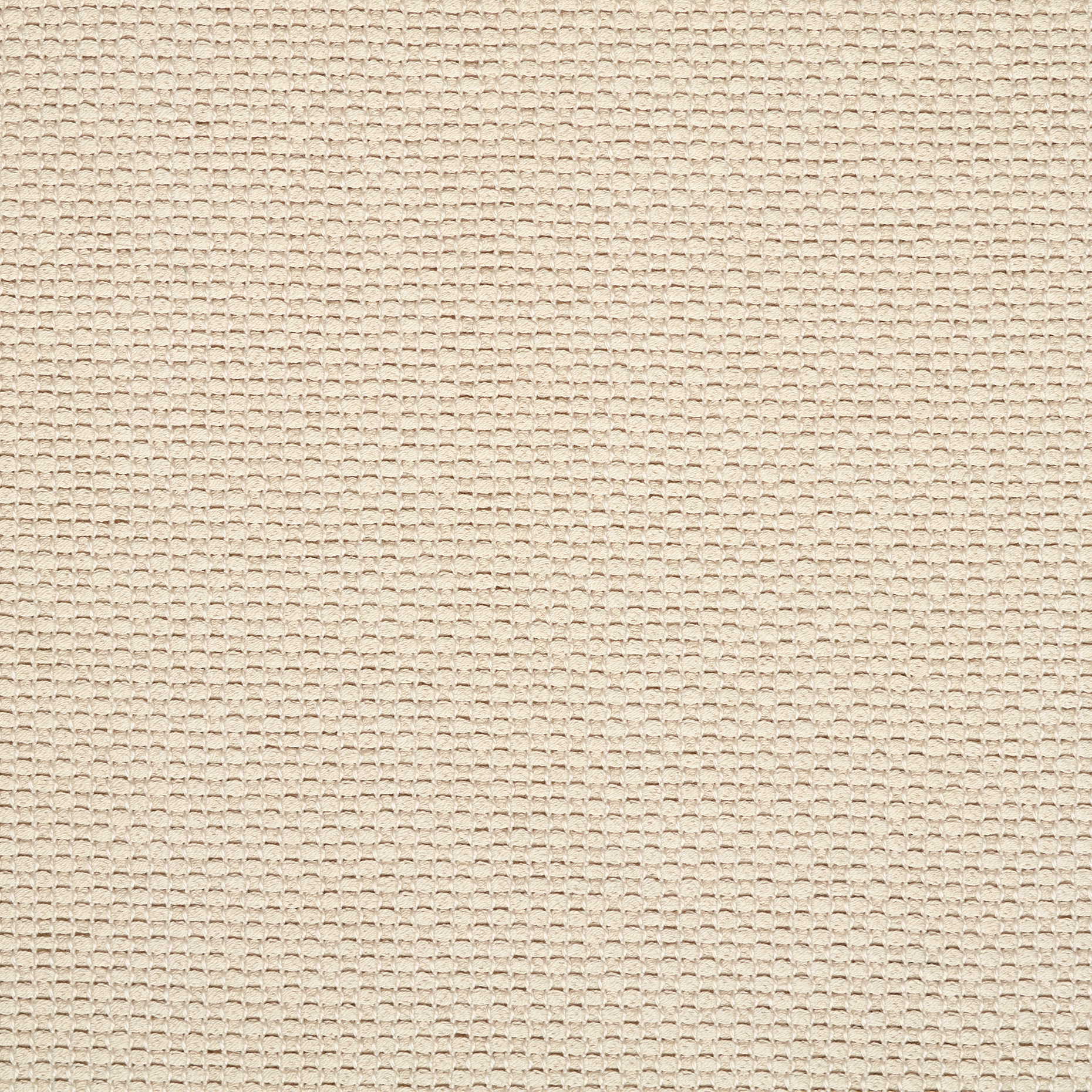 Хлопок, Микроструктура, Almond Milk (F000047210) - Ткань