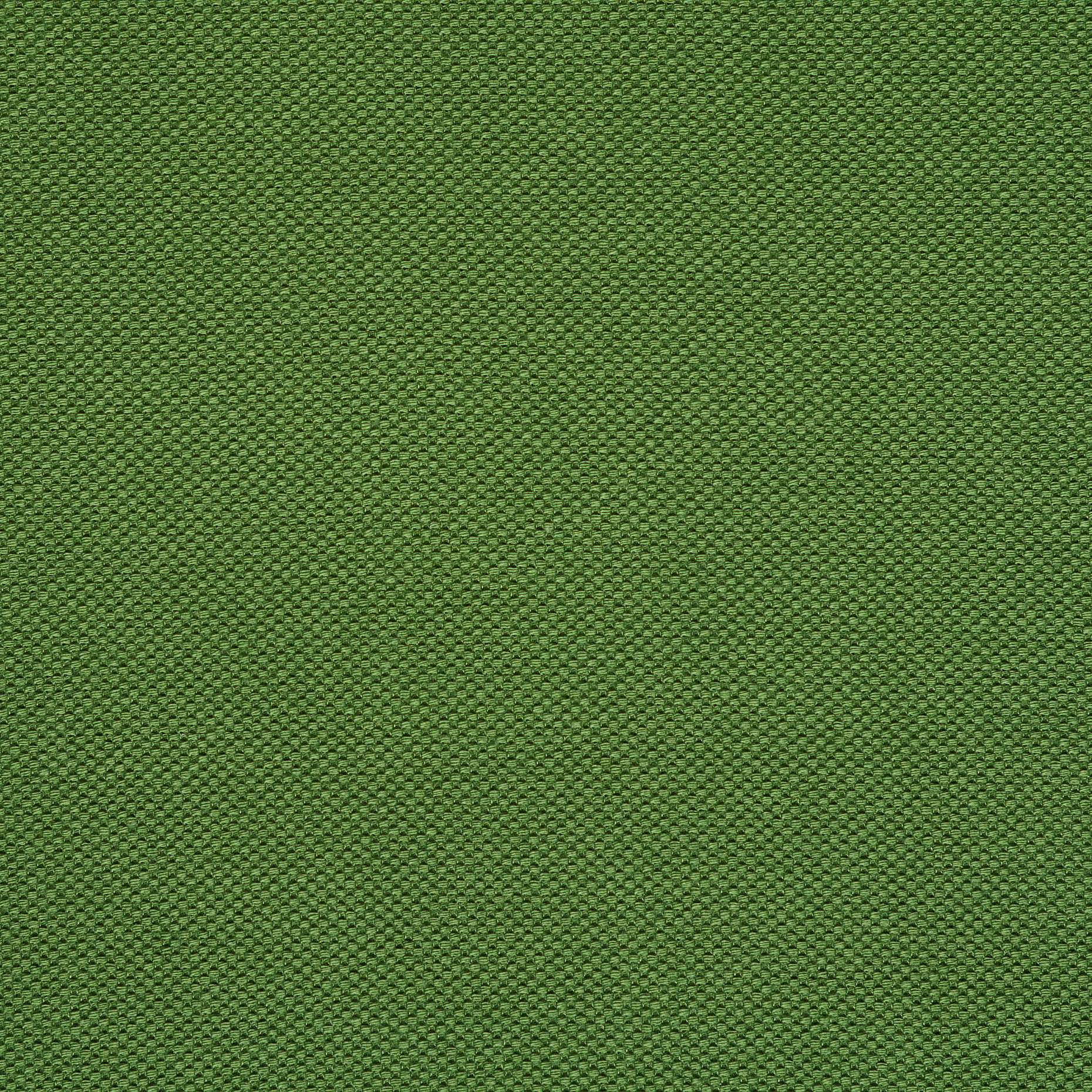 PIQUÉ, COTTON, KIWI (F000047774) - Texture