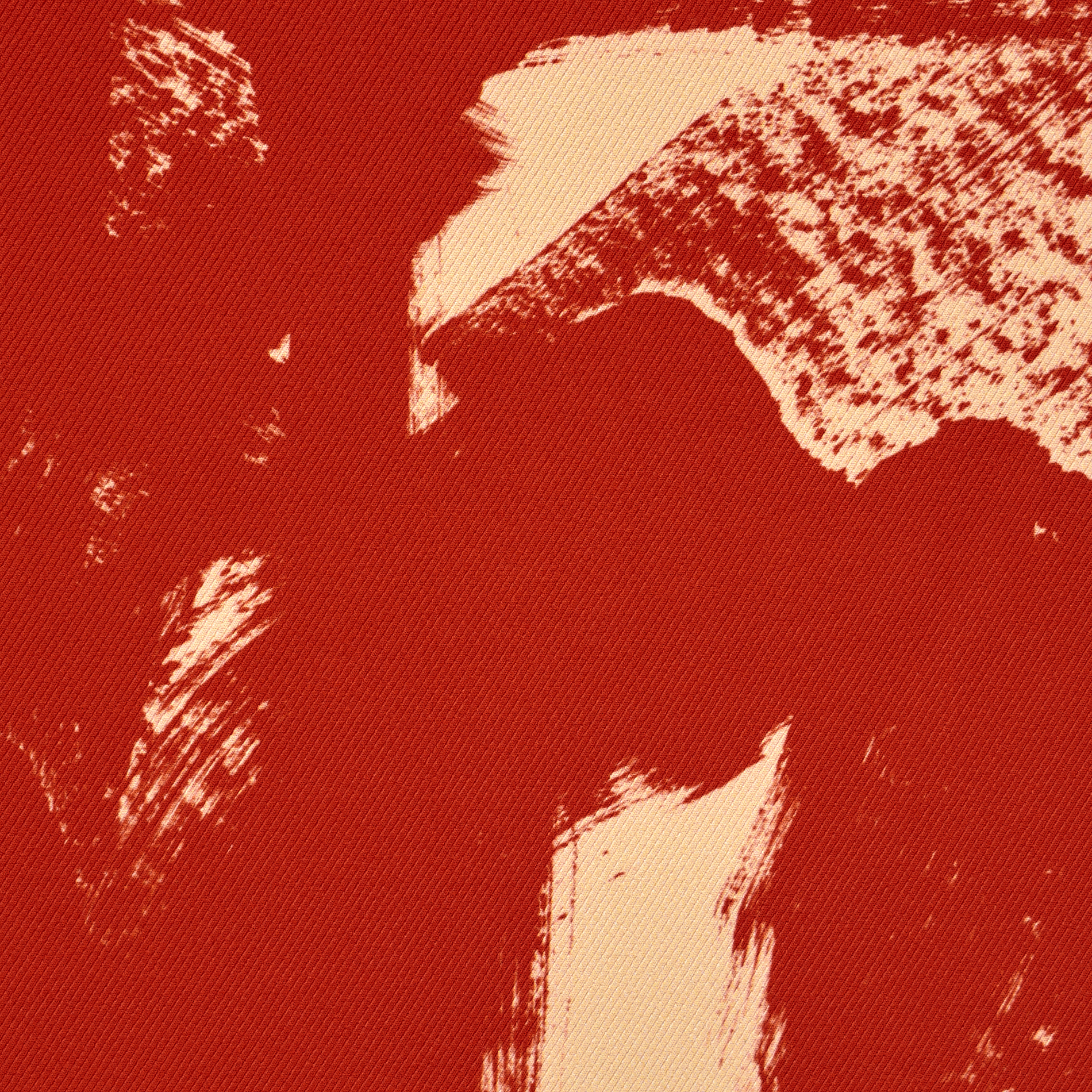 TECHNO STRETCH, TWILL, PRINTED, LIPSTICK&IVORY (F000035301) - Texture