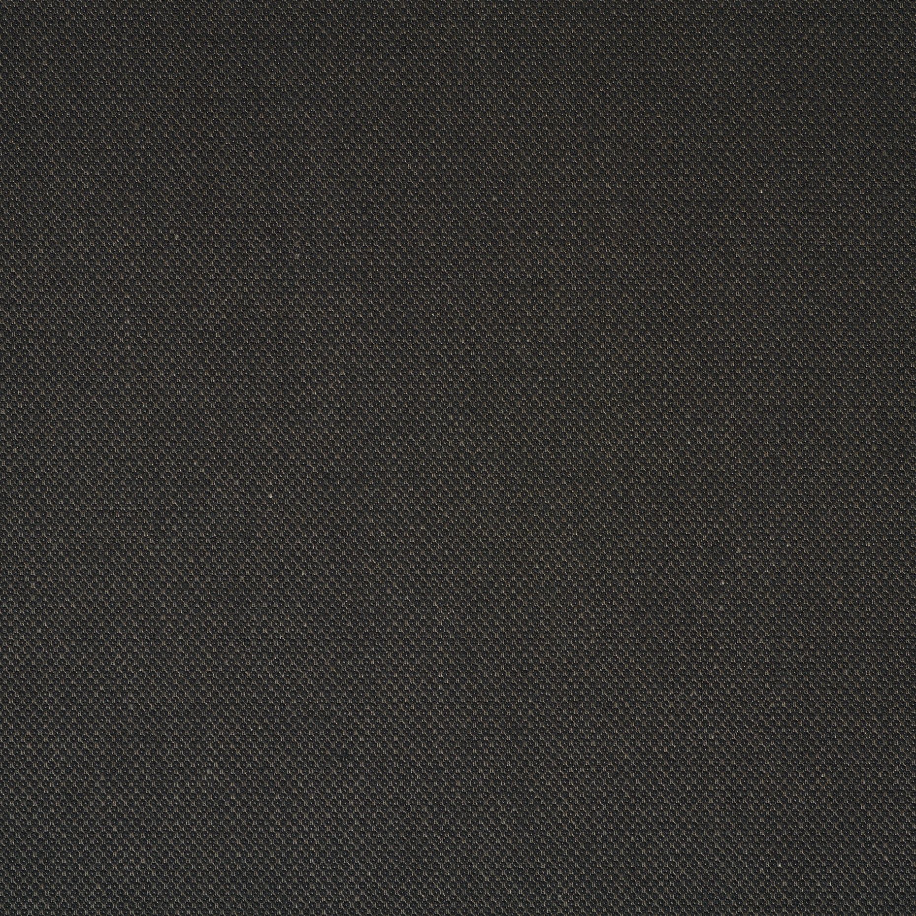 Coton , Brushed, Elástique, Pavement (F000036087) - Tissage