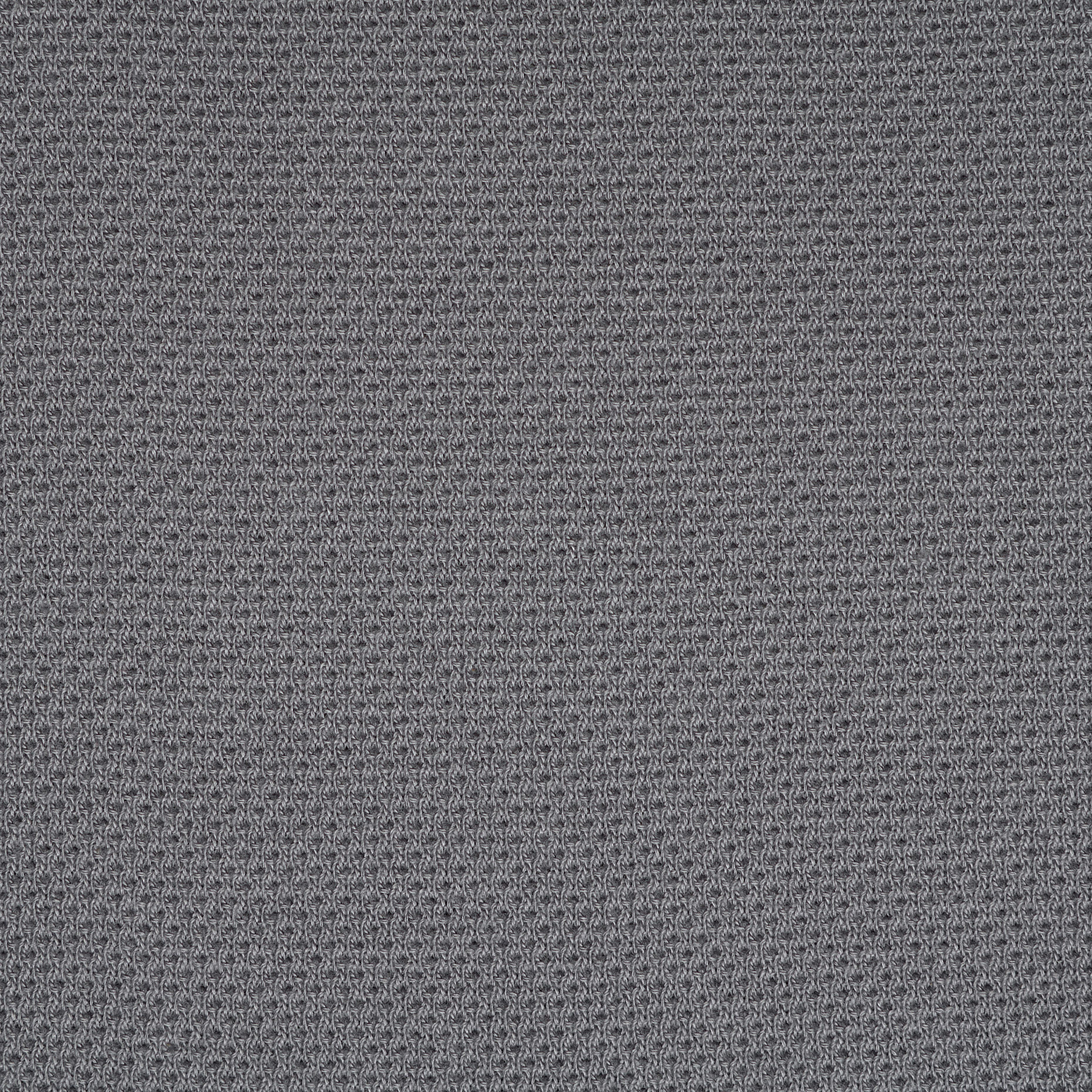JERSEY, COTTON, MICRO STRUCTURE, GHOST GRAY (F000044170) - Texture