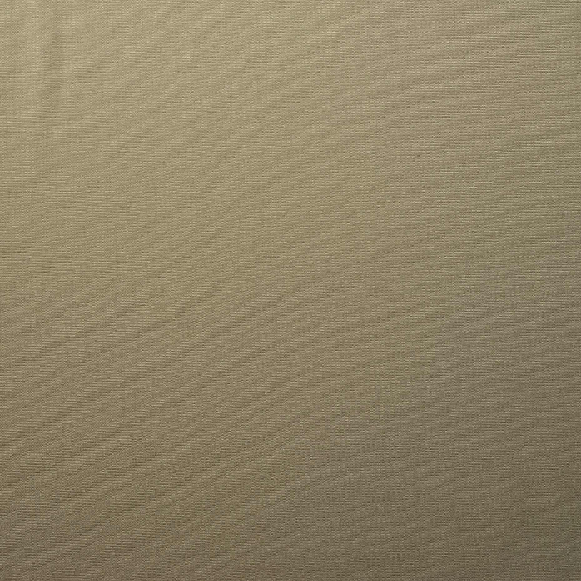 POPLIN, COTTON, ELASTIC, FRENCH OAK (F000016929) - Texture