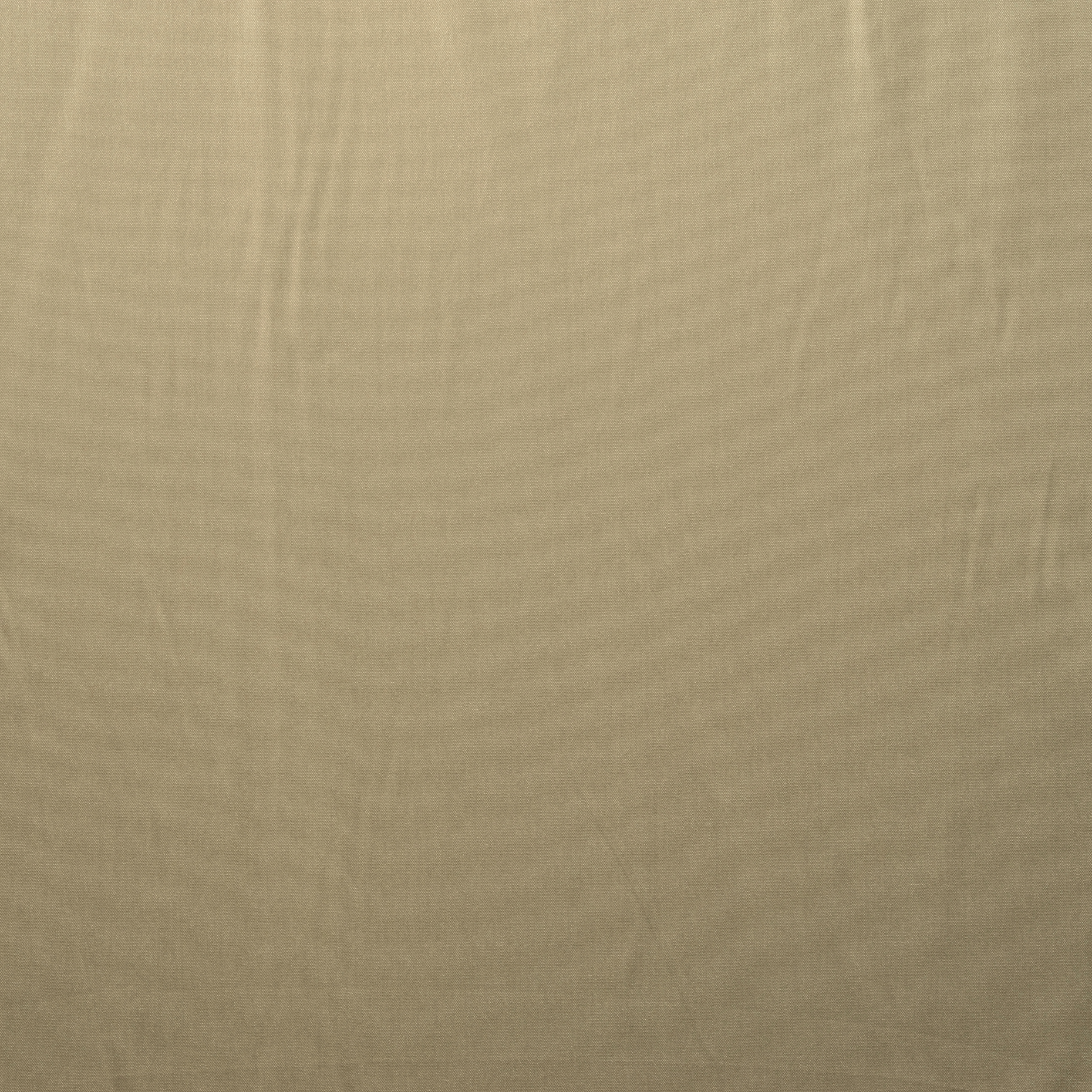 Popeline, Cotone, Stretch, Creme Brûlée (F000015903) - Trama