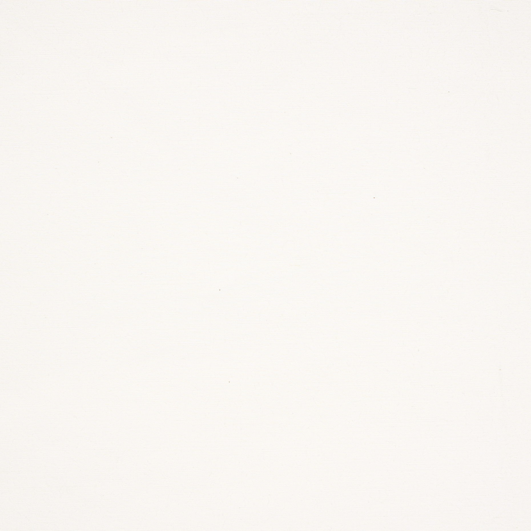 OUTDOOR, COTTON BLEND, BRILLIANT WHITE (F000037284) - Texture