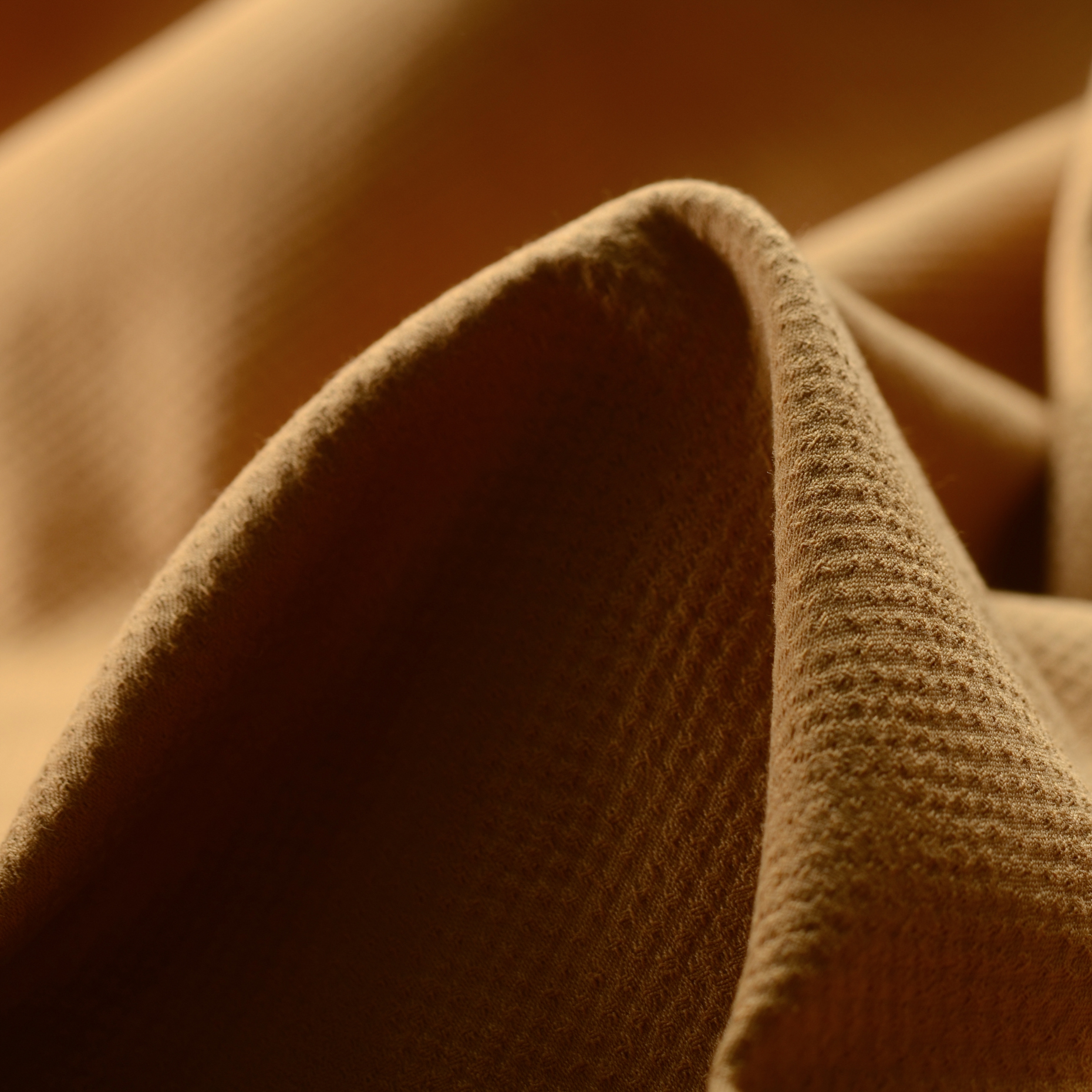 JACQUARD, COTTON ELASTIC, HIDDEN DOTS, BISCUIT (F0000120)