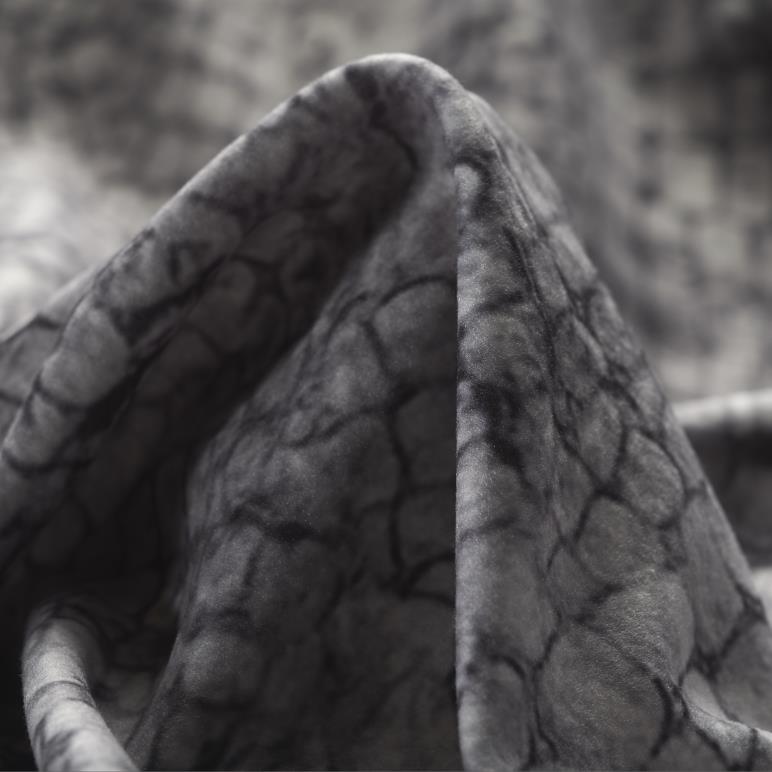 Jersey, Wydrukowany, Caviar (F000027543)