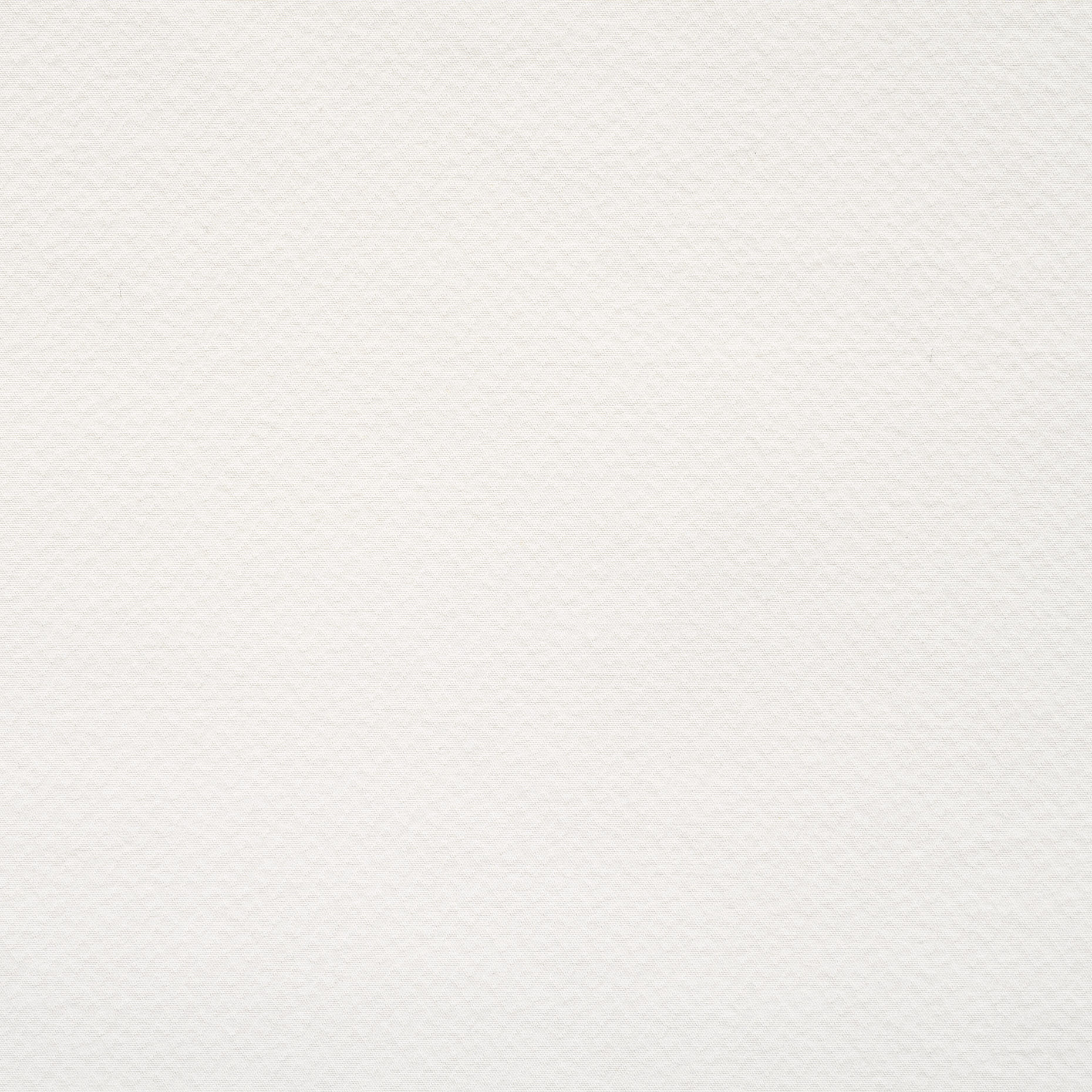 COTTON, MICRO STRUCTURE, SNOW WHITE (F000038494) - Texture