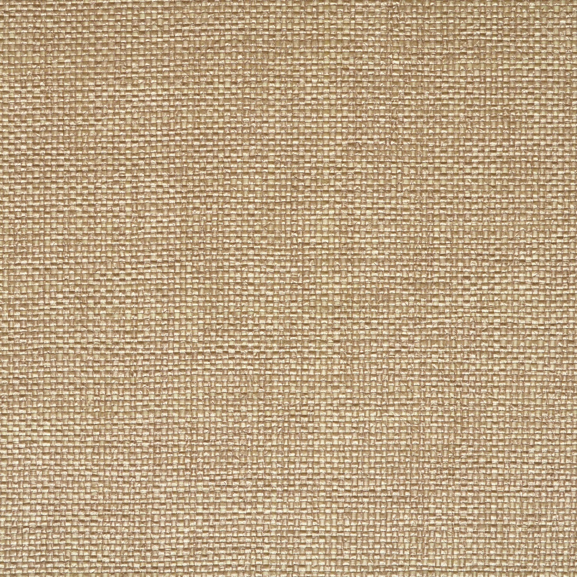 COTTON BLEND, BROWN RICE (F000049184) - Texture