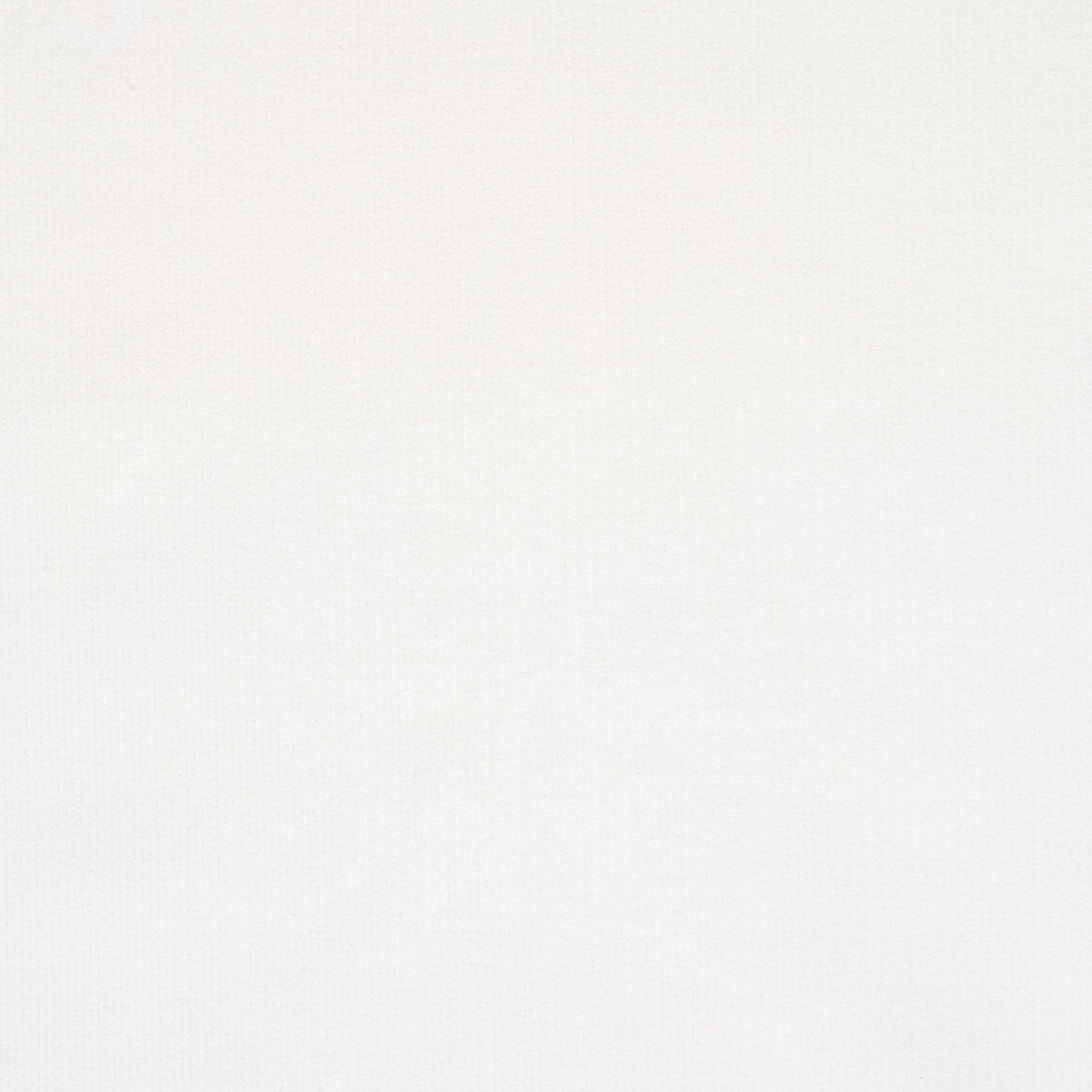 CORDUROY, COTTON, LUCENT WHITE (F000043925) - Texture