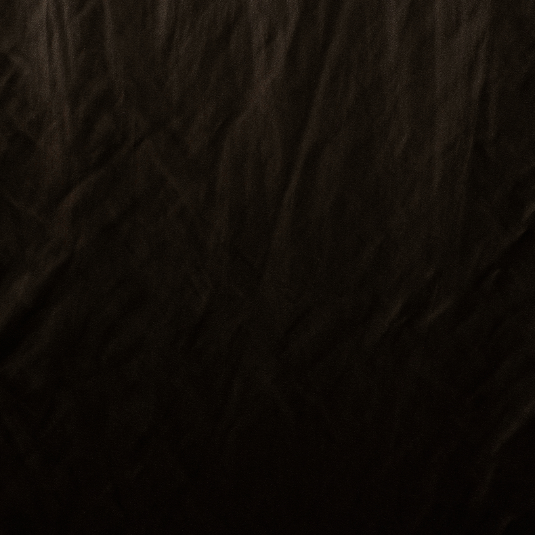 COTTON, SHIMMERING, CHESTNUT (F000015314) - Texture