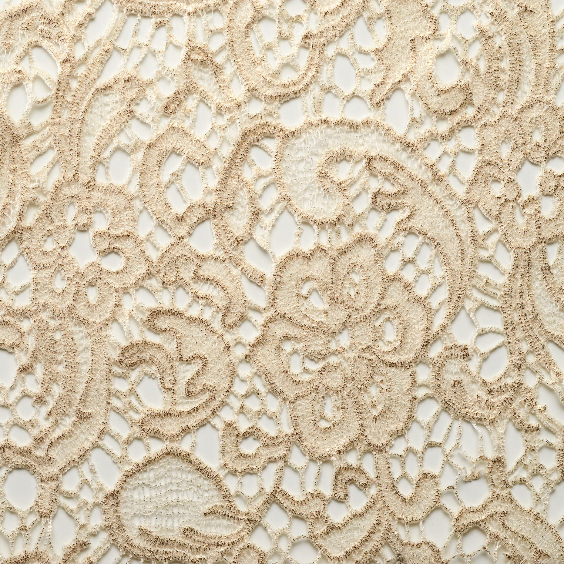 Pizzo, Cotone, Ivory (F000025338) - Trama