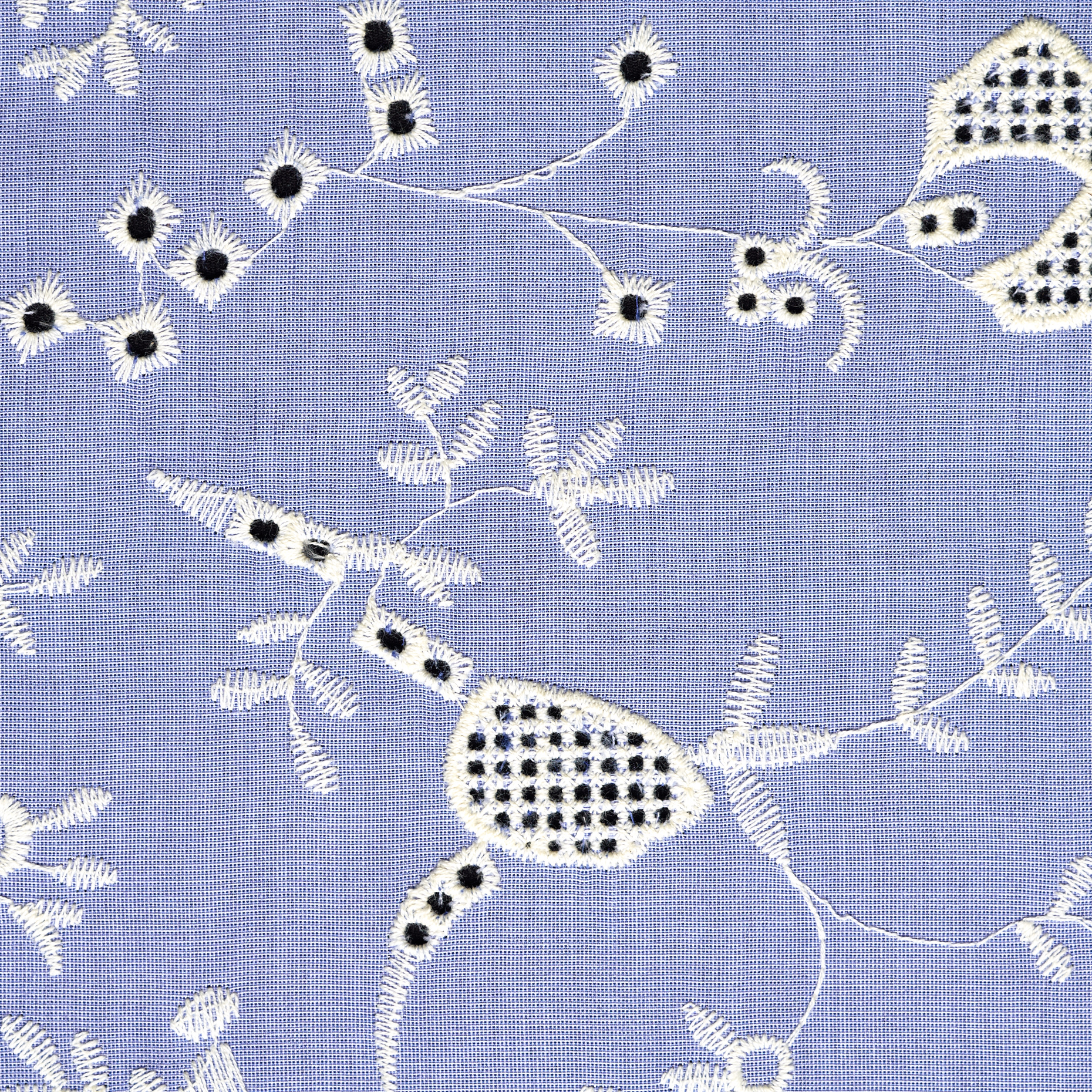 CHAMBRAY, COTTON, EMBROIDERED, SERENITY&BRILLIANT WHITE (F000048282) - Texture