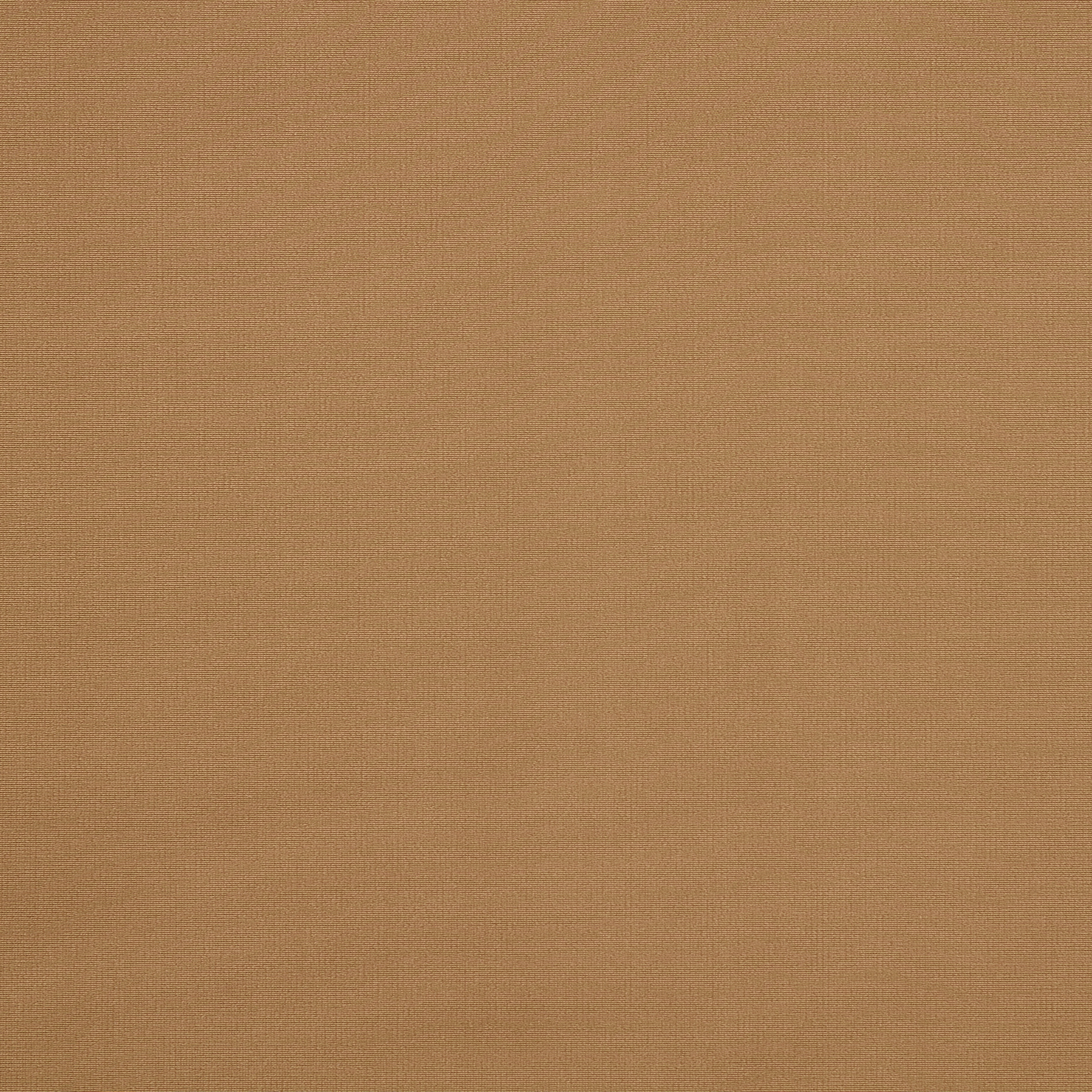 Double, Techno Jersey, Alta Elasticità, Ginger Root (F000046621) - Trama