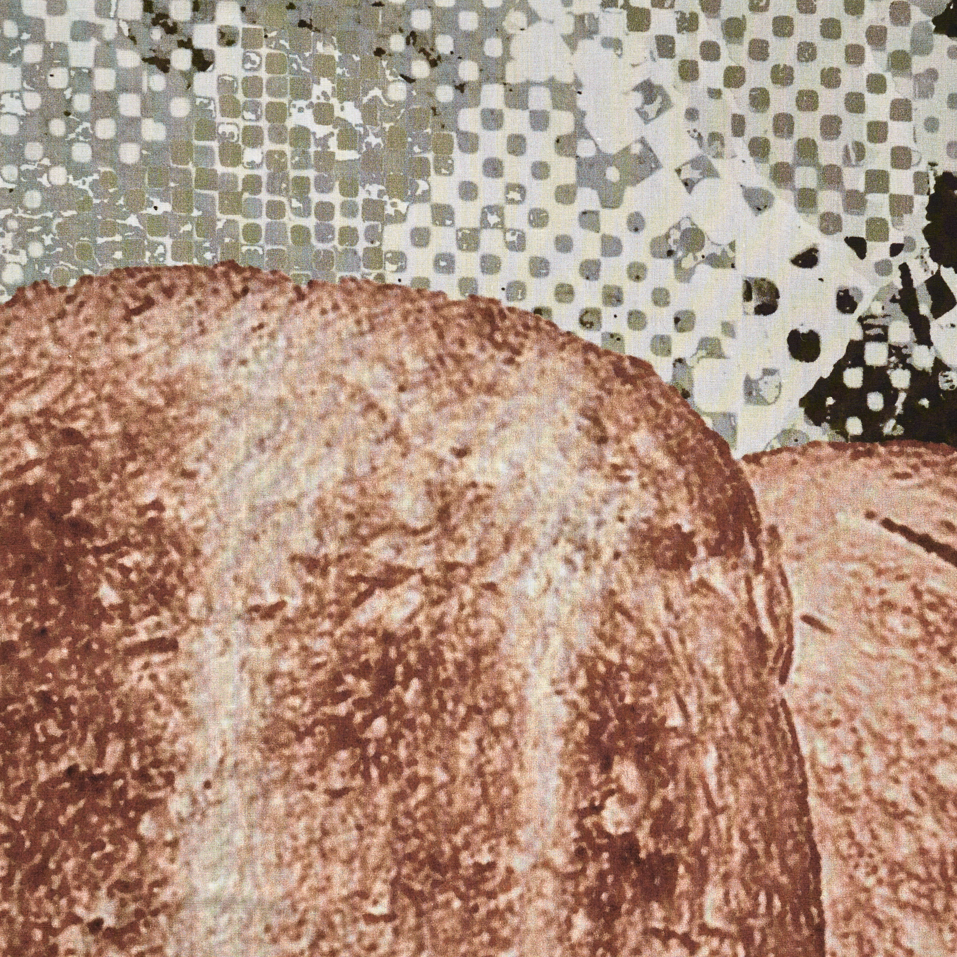 Батист, Хлопок, Принт, Mirage Gray&Pecan Pie (F000032067) - Ткань