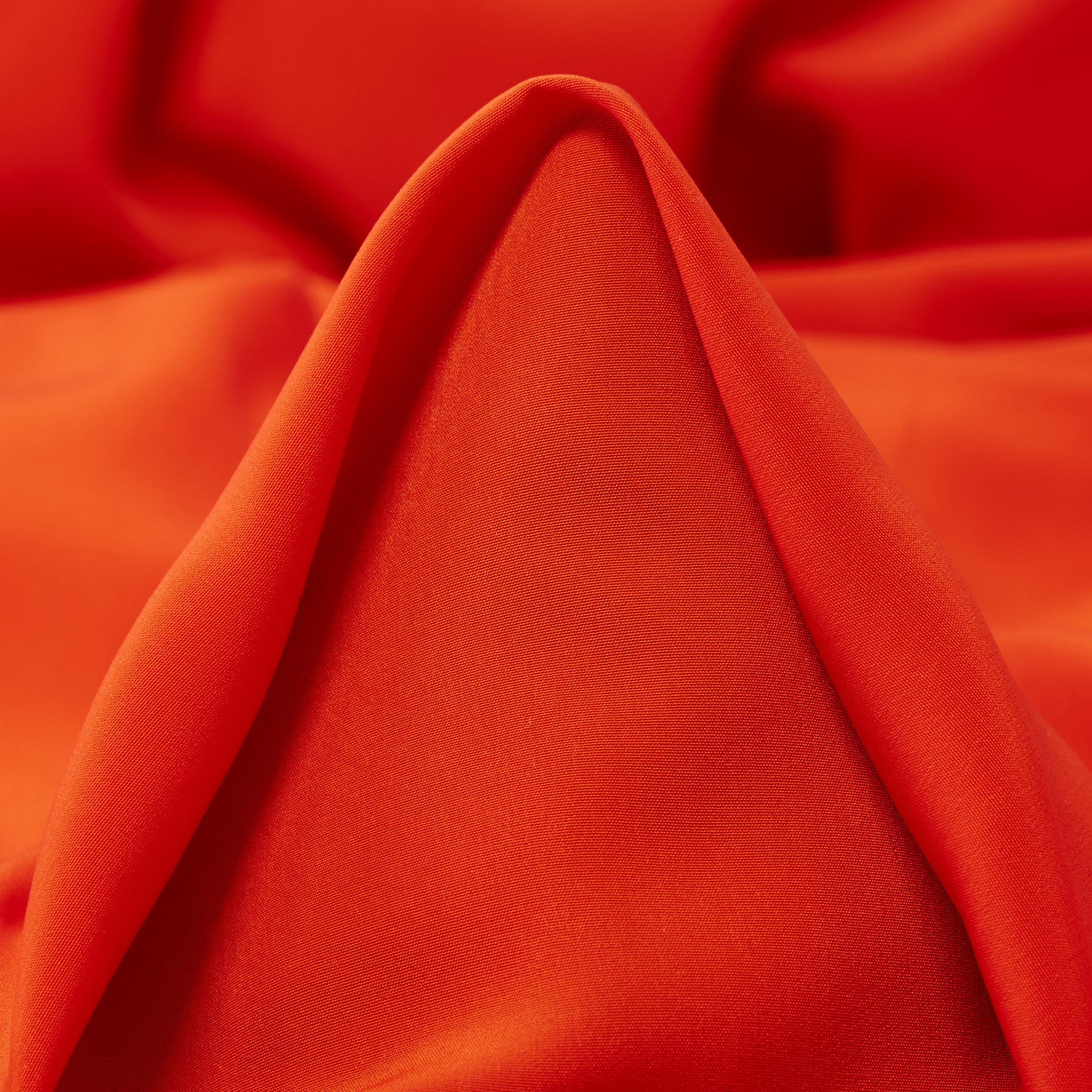 Cady, Cherry Tomato (F000042126)