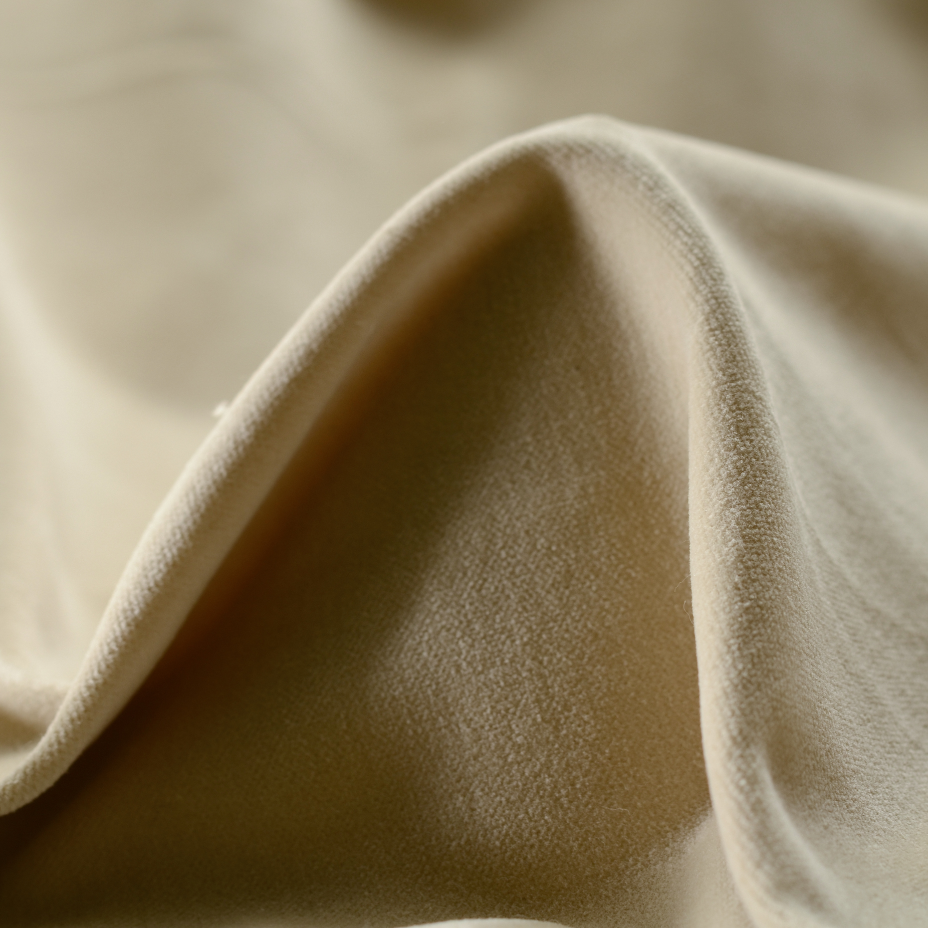 VELVET, COTTON, ELASTIC, BISCOTTI (F000005517)