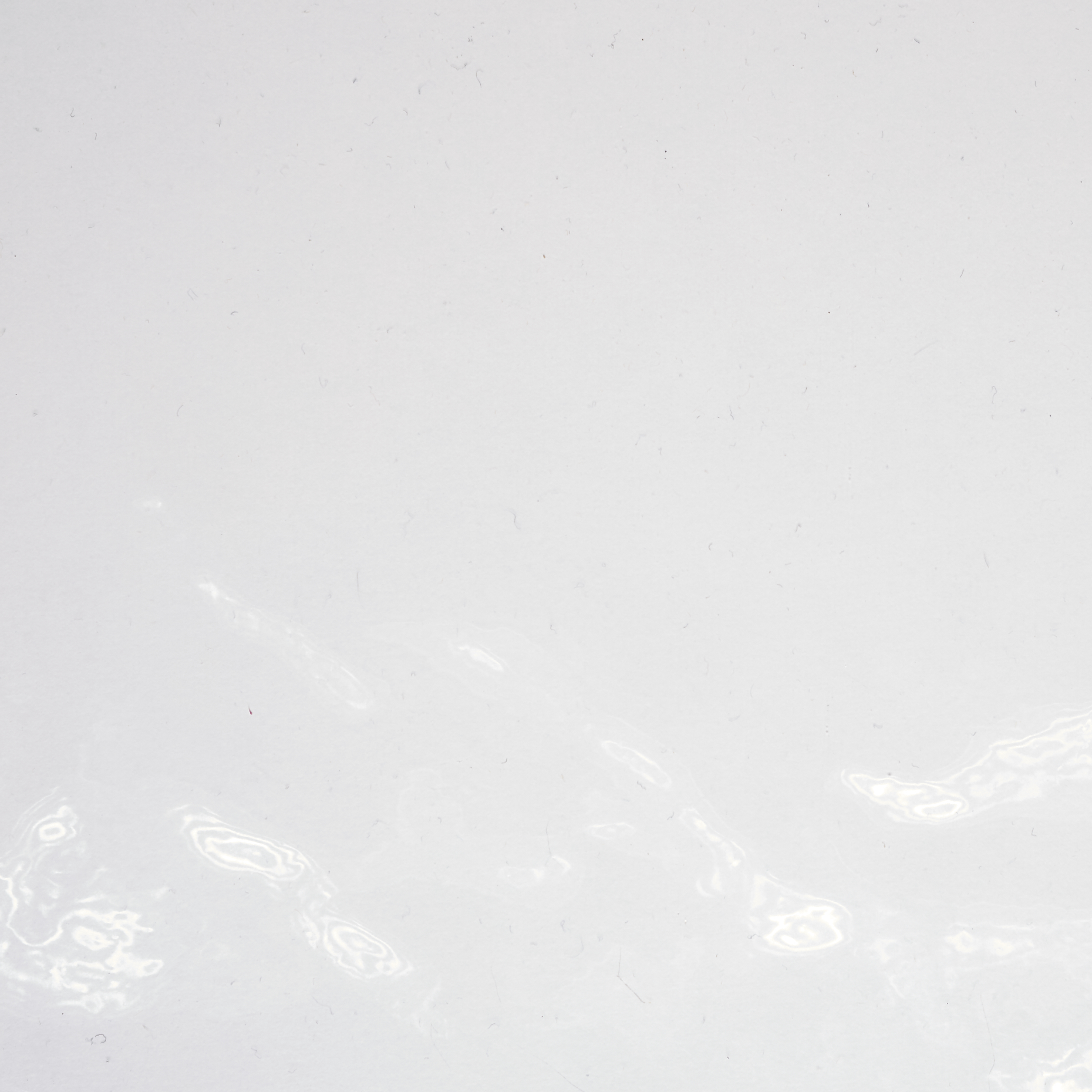 Аутдор, Прозрачная (F000033801) - Ткань