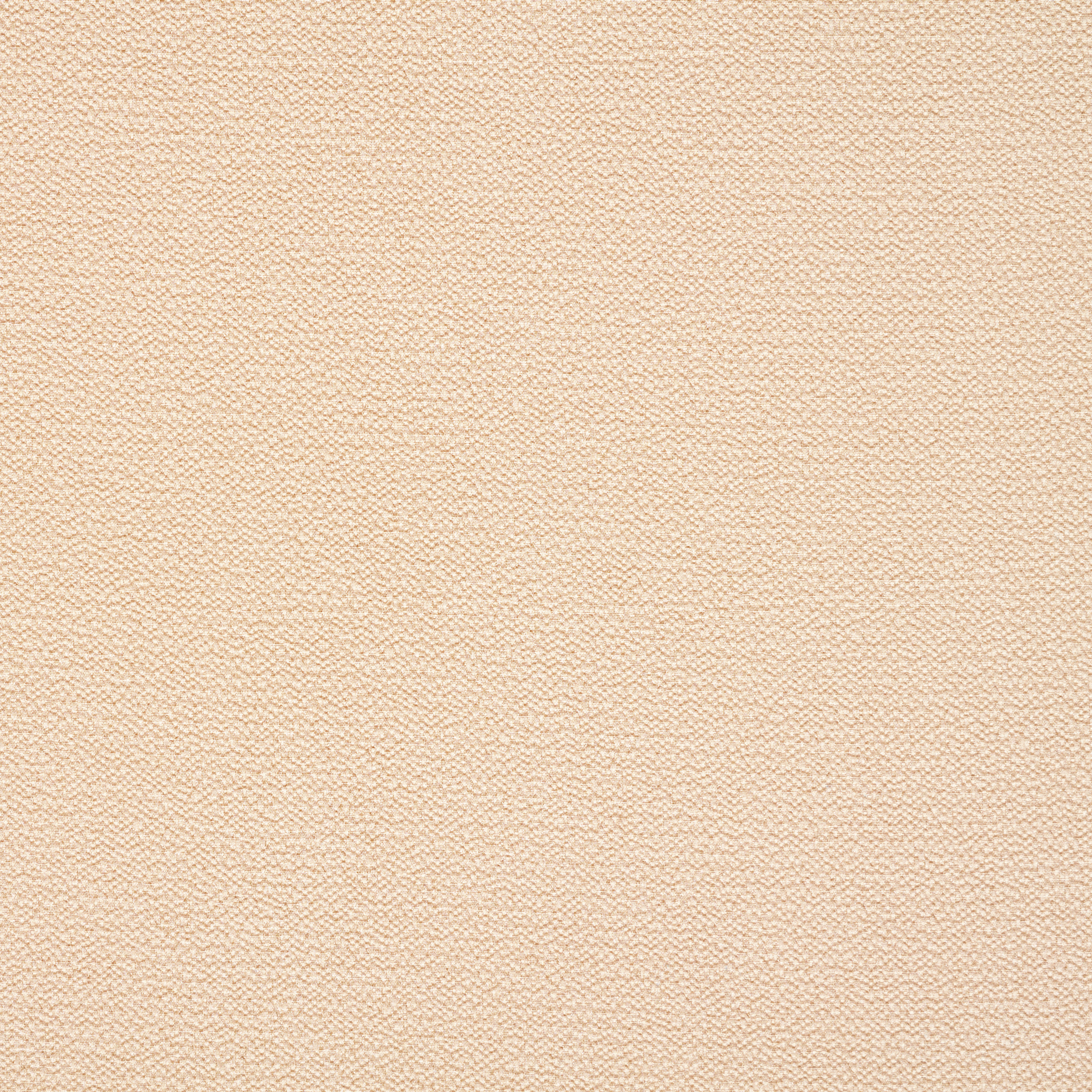 CRÊPE, WRINKLY, SAND DOLLAR (F000033316) - Texture