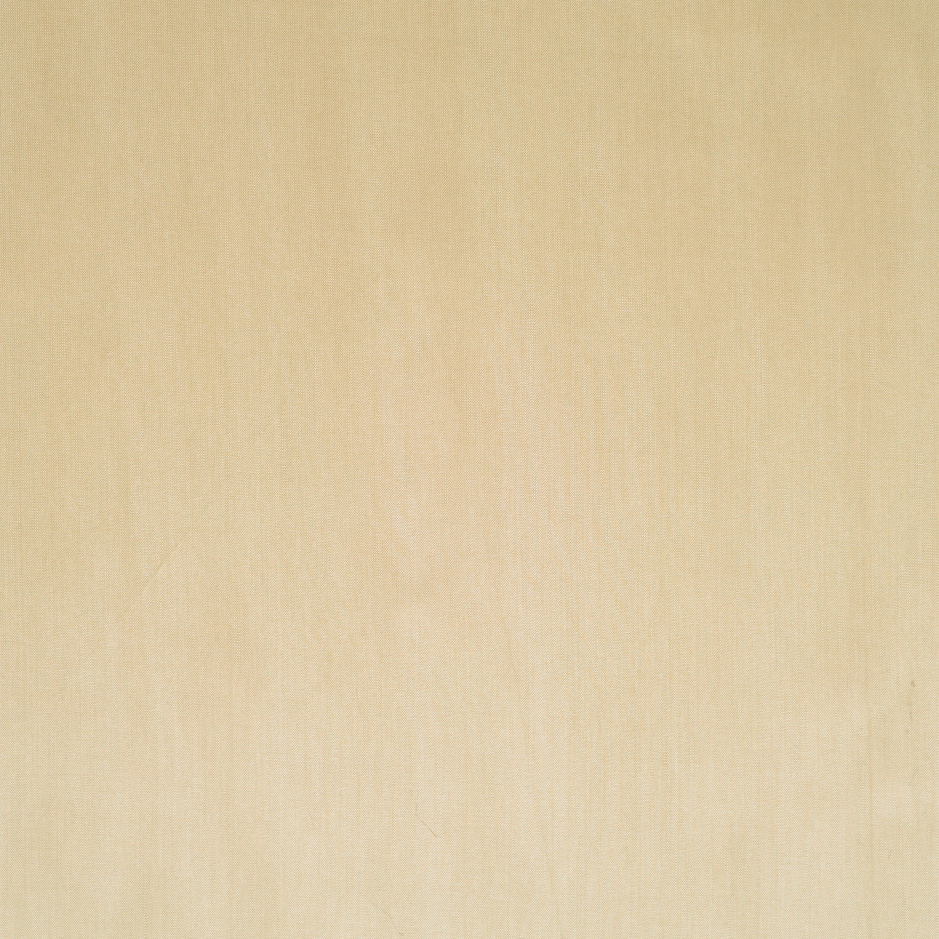 Cupro, Forro, Ivory (F000032900) - Tejido