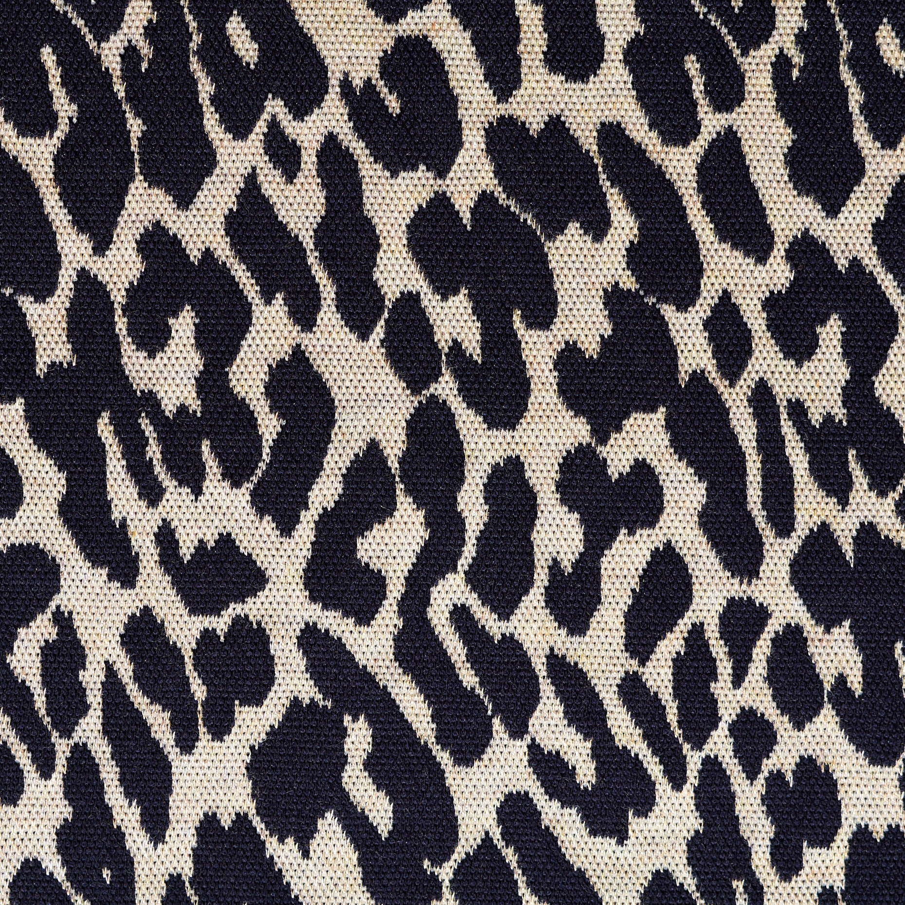 Жаккард , Джерси, Звериный Принт, Skyrocket&Raven Black (F000043132) - Ткань