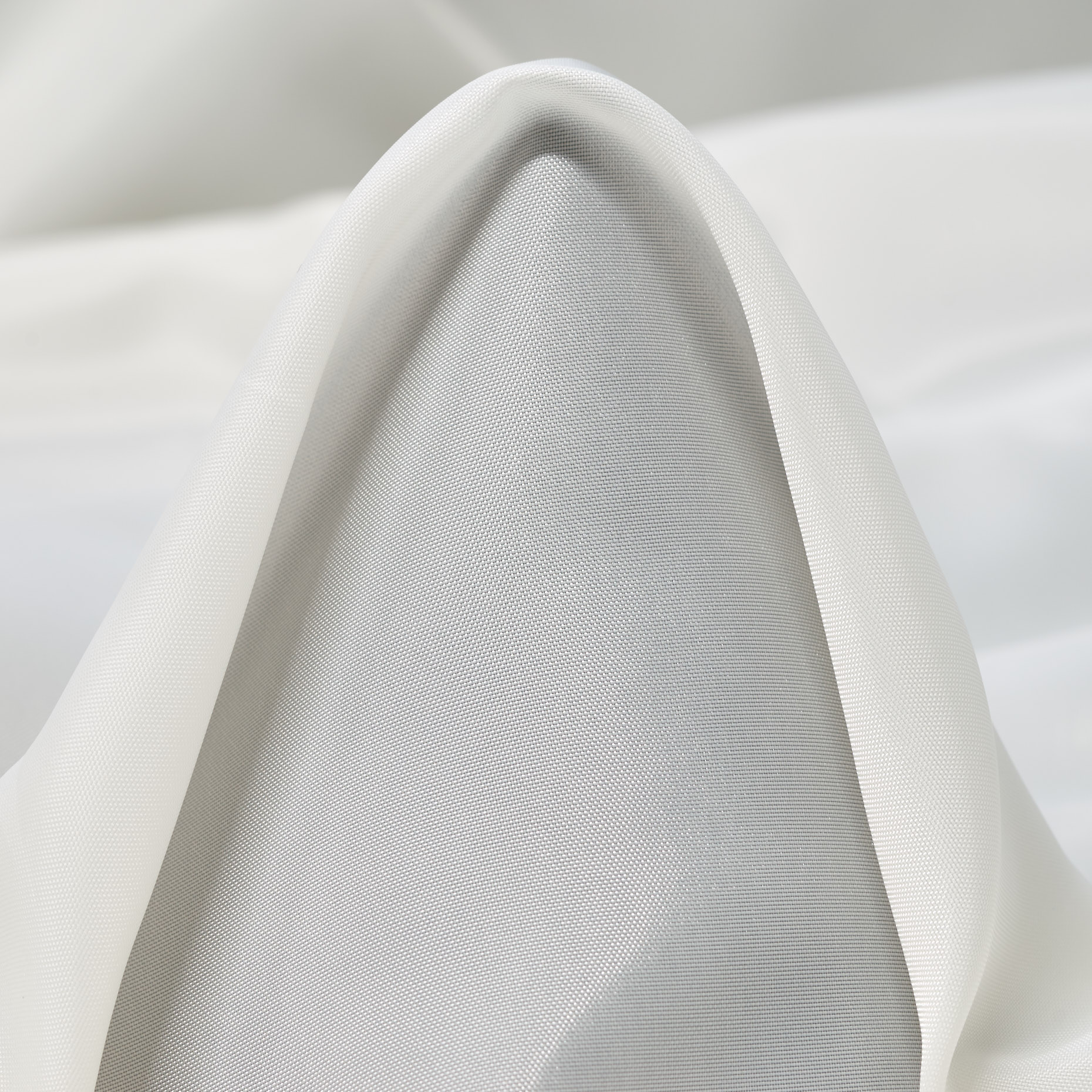 Fodera, Snow White (F000043499)