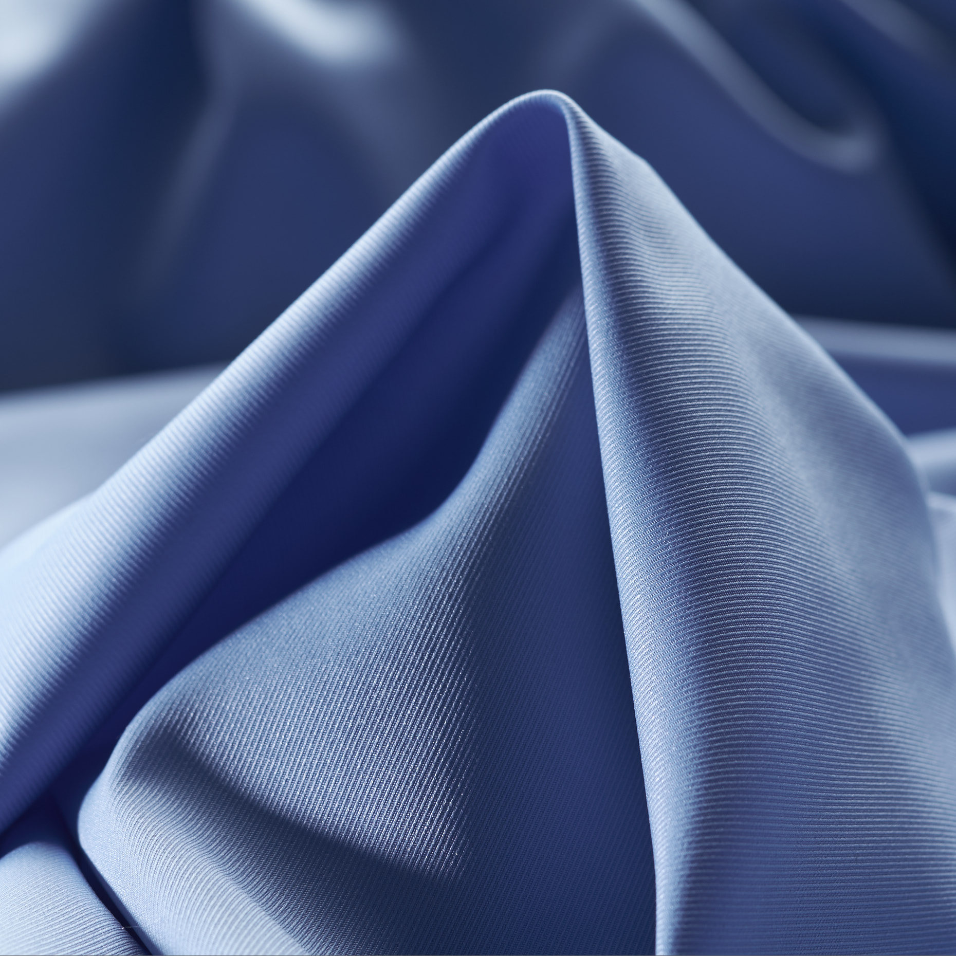 Fodera, Forget-Me-Not