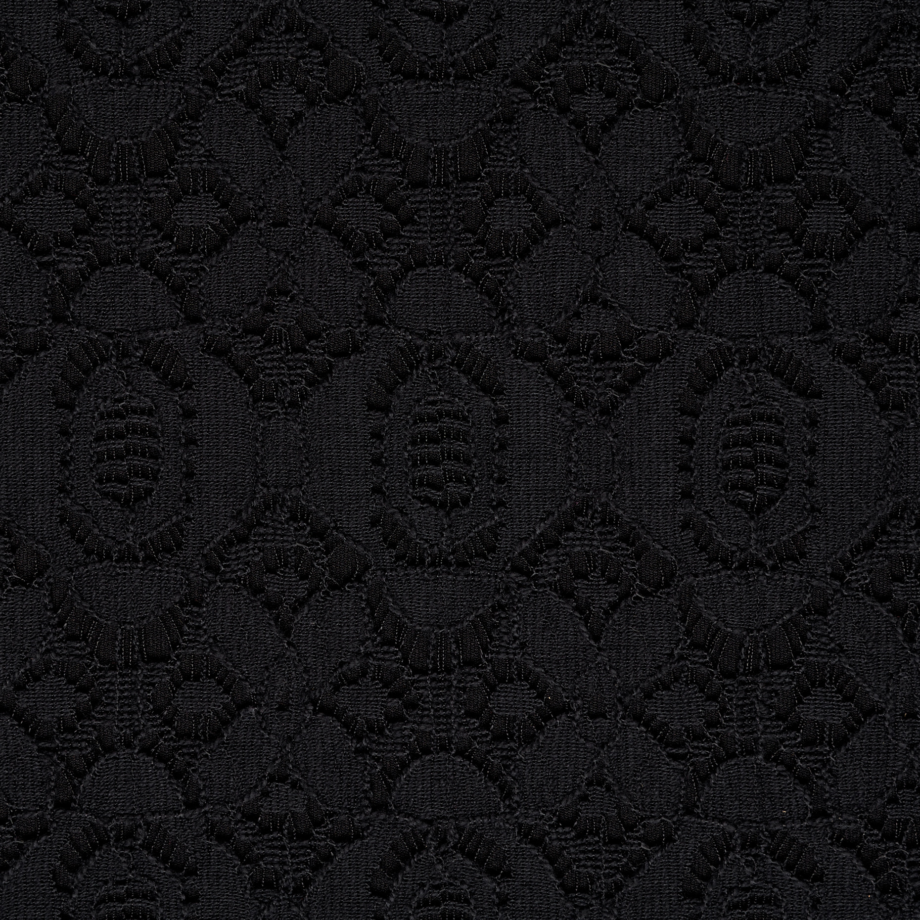 Encaje, Algodón, Estampado, Raven Black (F000009063) - Tejido