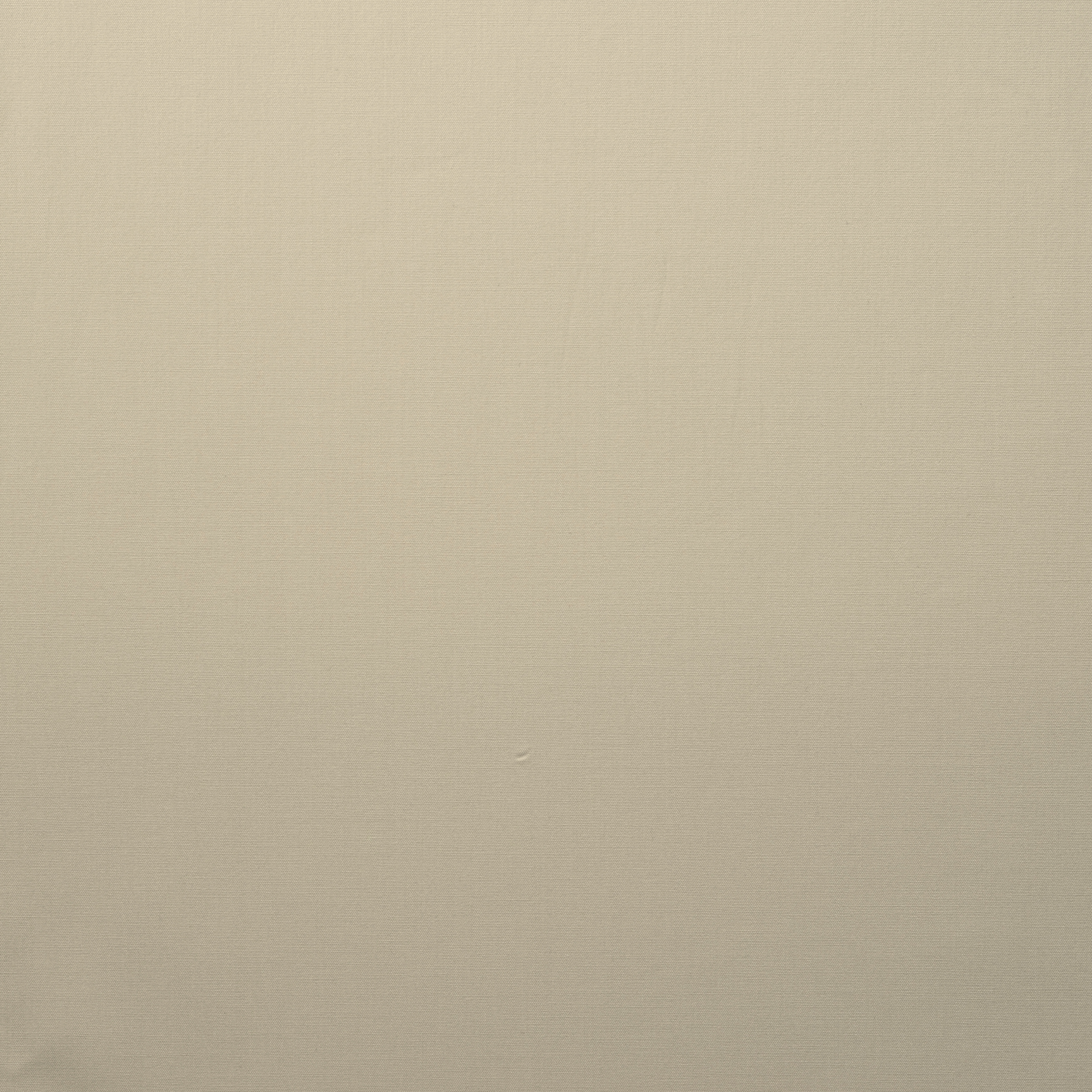 Popeline, Baumwolle, Brushed, White Onyx (F000016461) - Gewebe