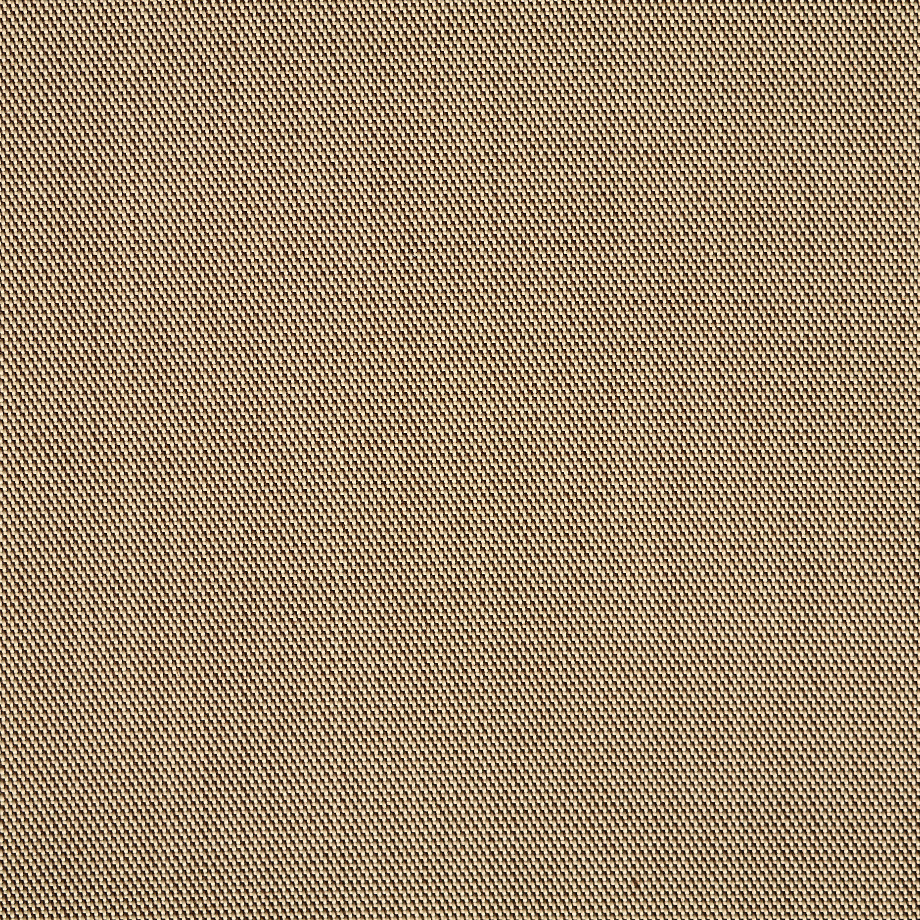 DOUBLE, KHAKI&SNOW WHITE (F000043169) - Texture
