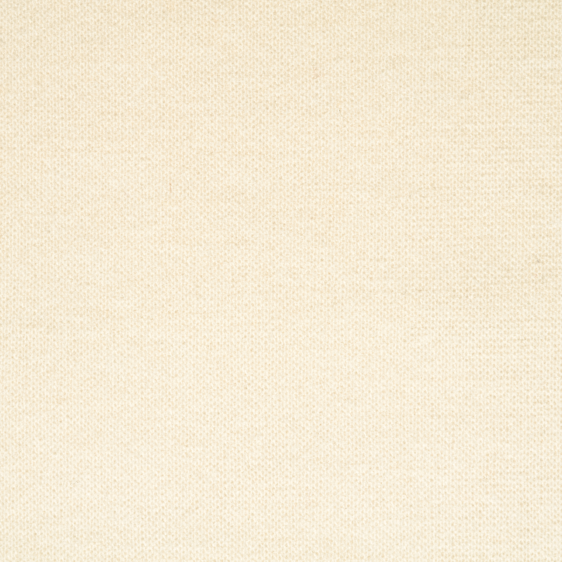 JERSEY, BOILED WOOL, ANTIQUE WHITE (F000047396) - Texture