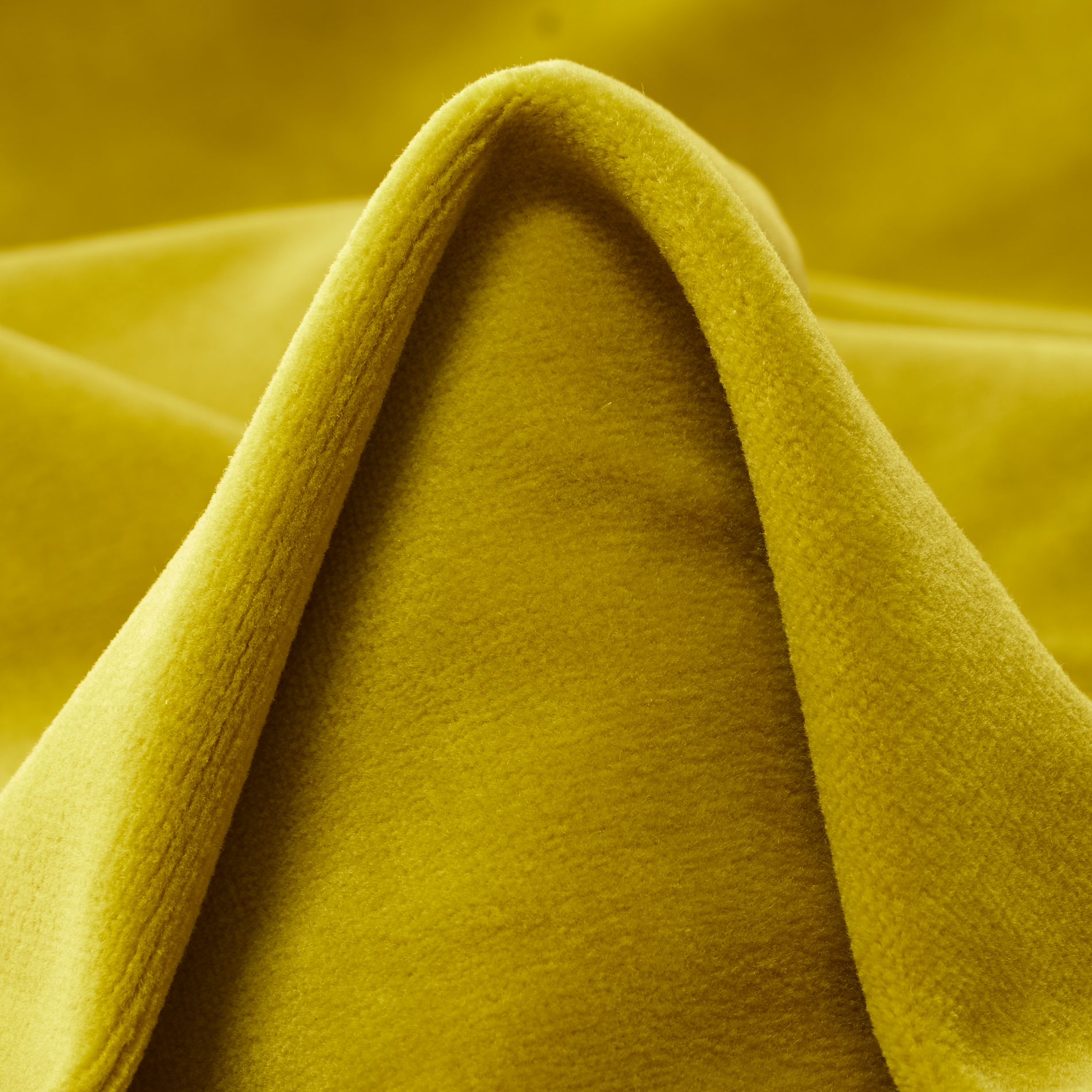 VELVET, COTTON, AVOCADO (C0002340)