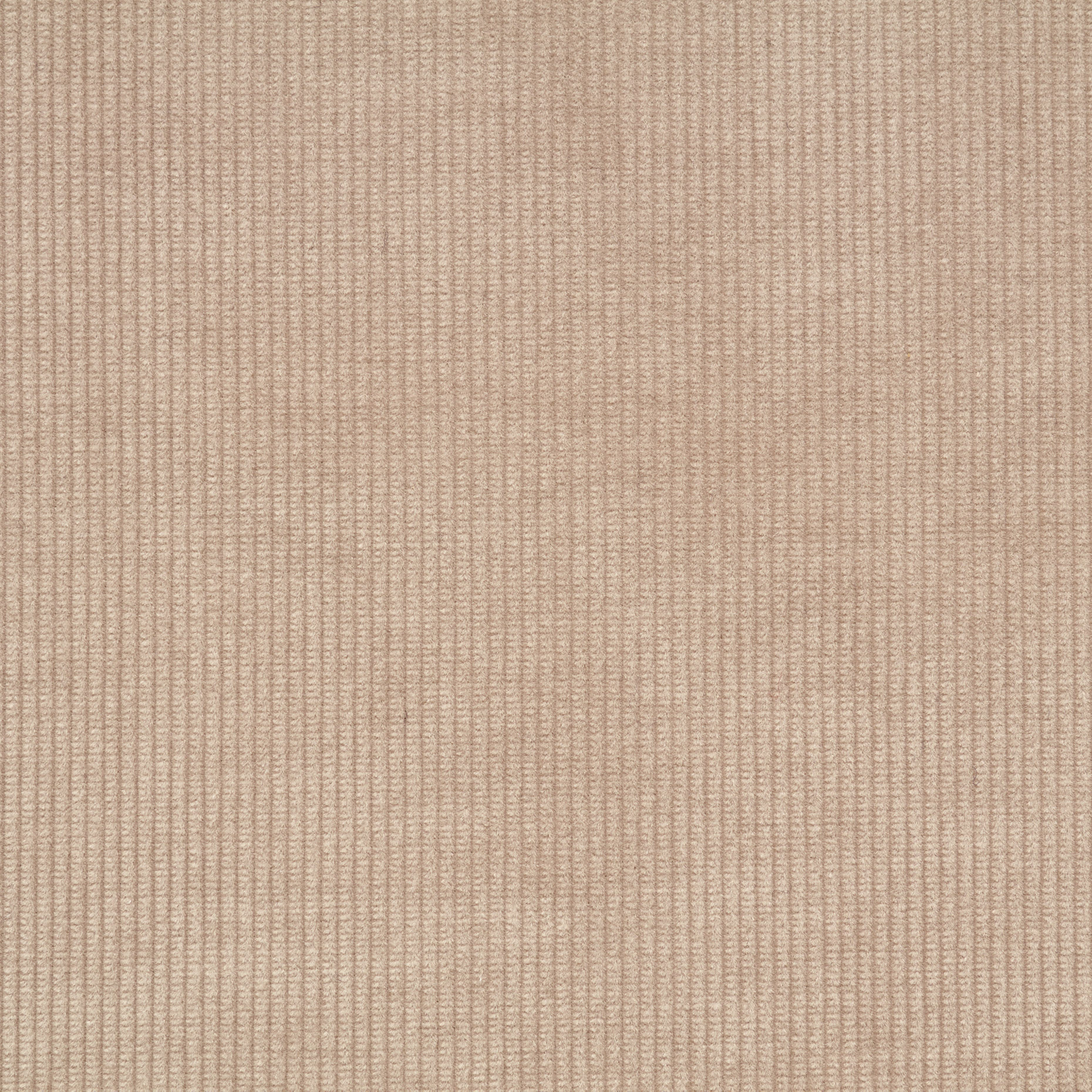 CORDUROY, COTTON, ELASTIC, BROWN RICE (F000045076) - Texture