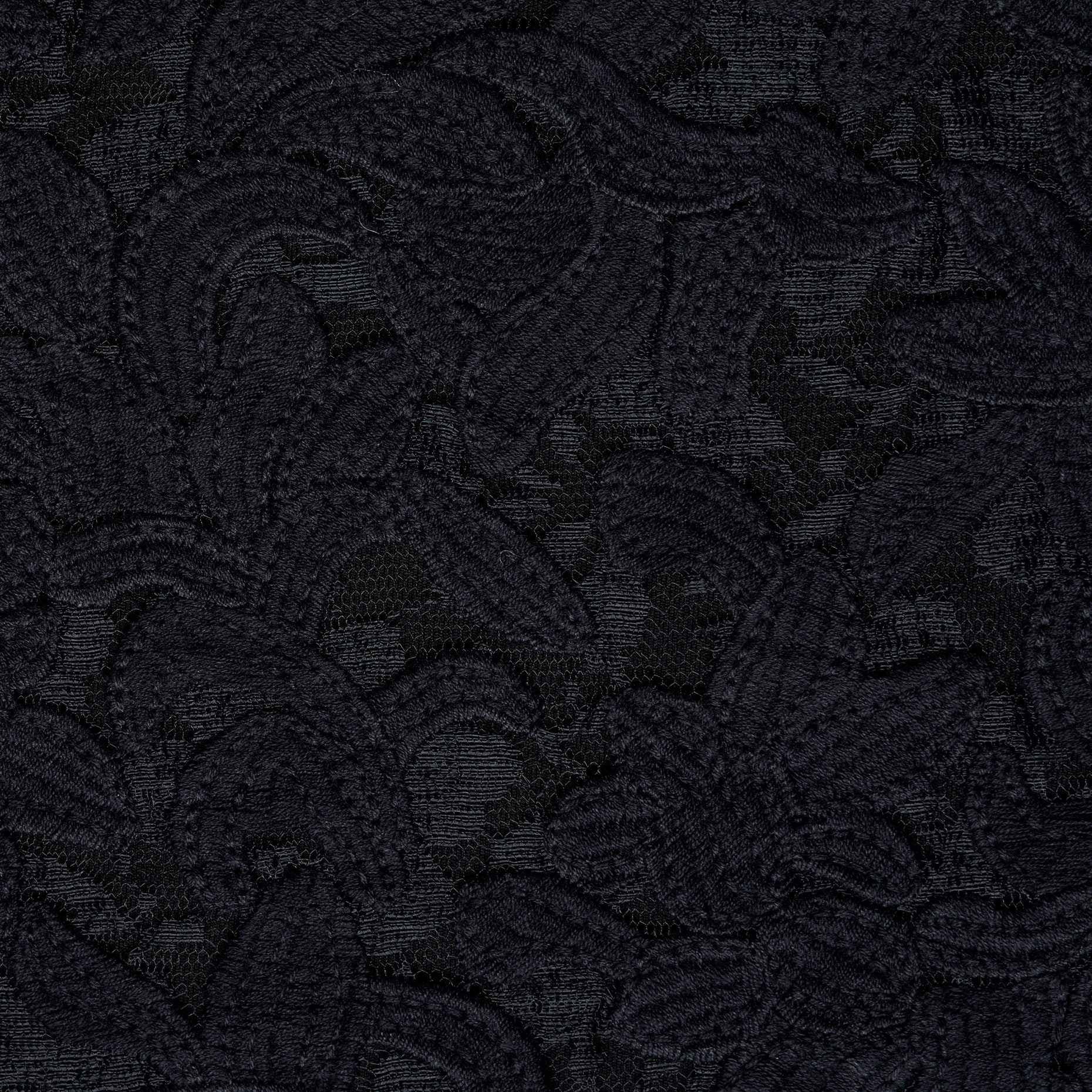 Pizzo, Cotone, Floreale, Raven Black (F000046209) - Trama