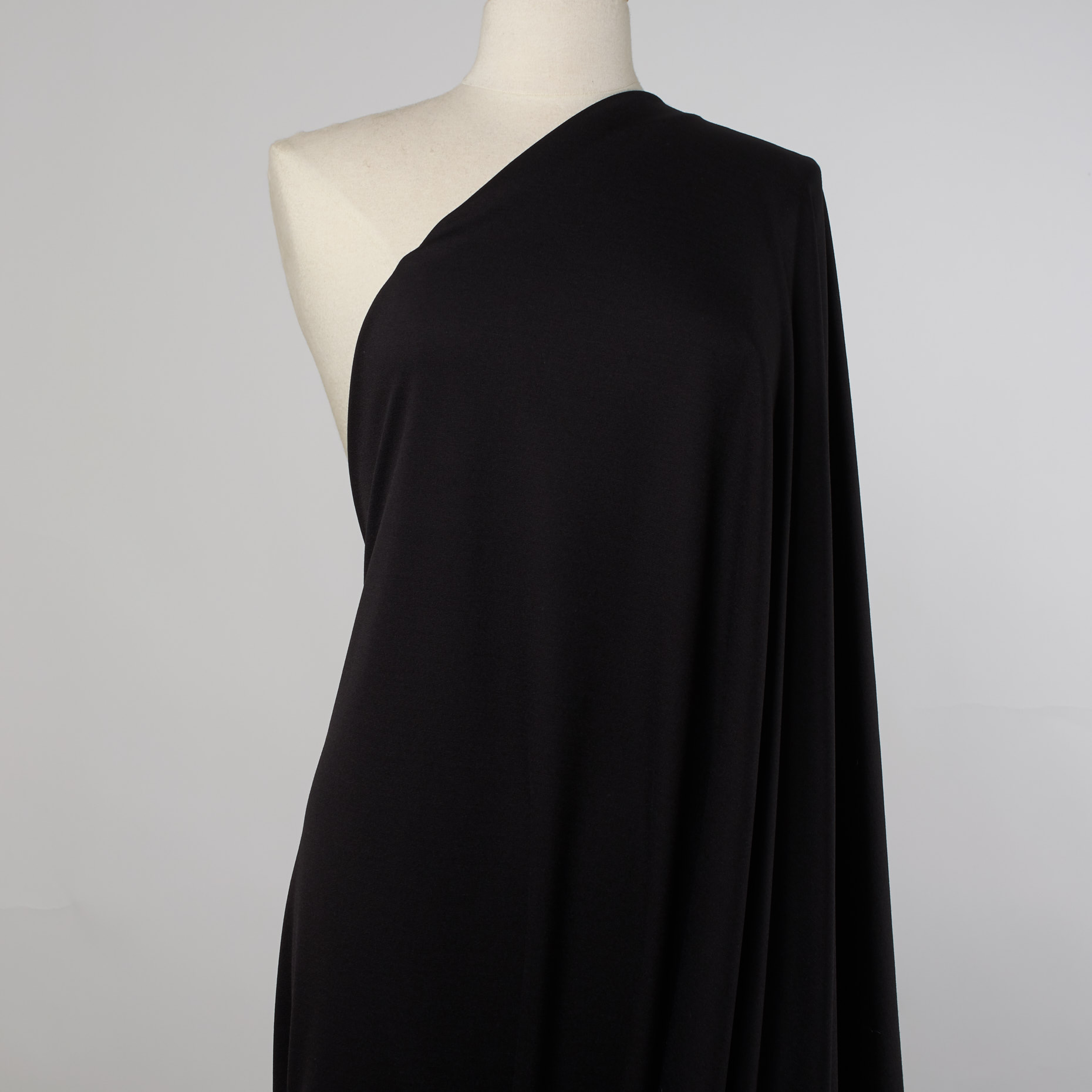 SINGLE JERSEY, BLACK RAVEN (F000025384) - Mannequin