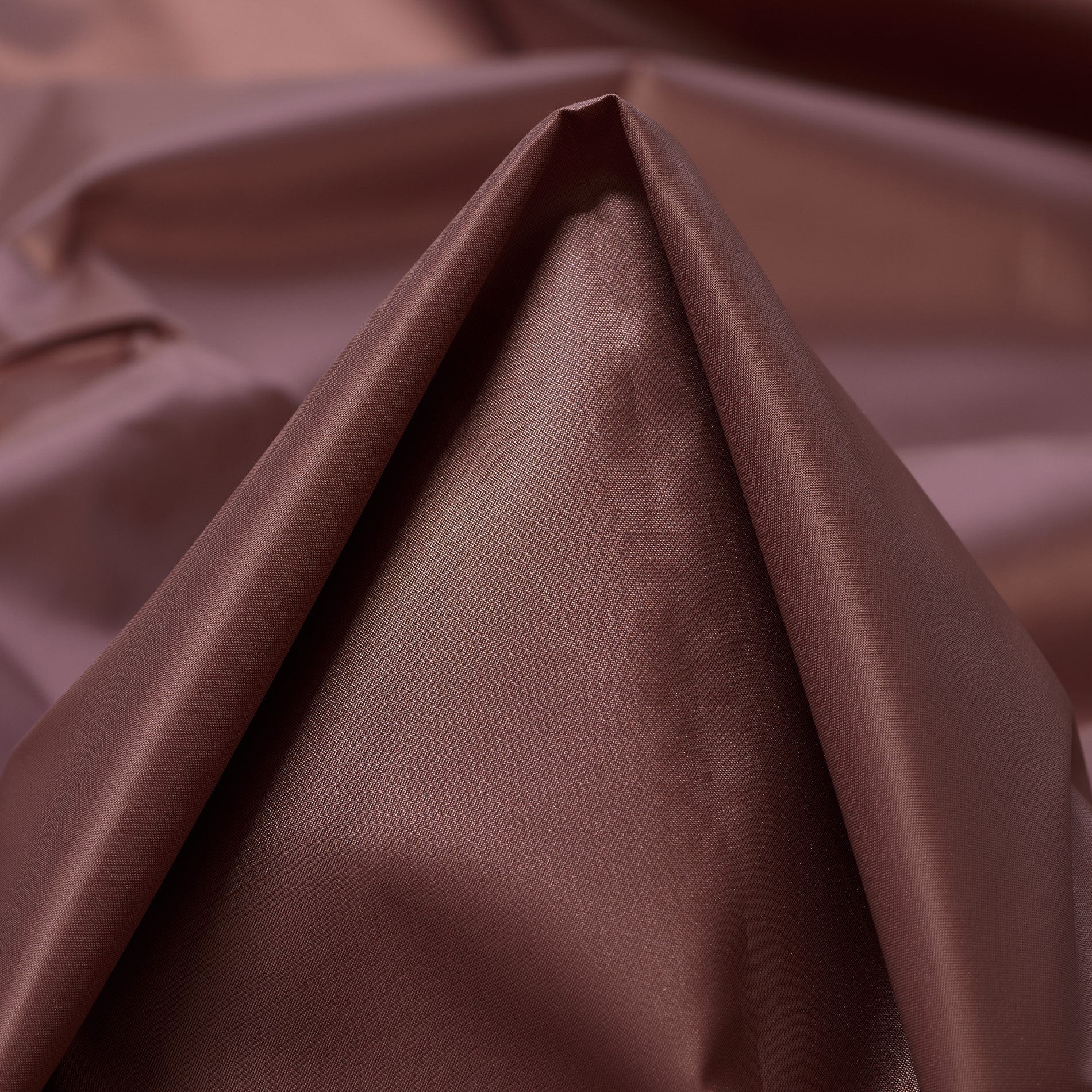 OUTDOOR, WITHERED ROSE (F000030565)