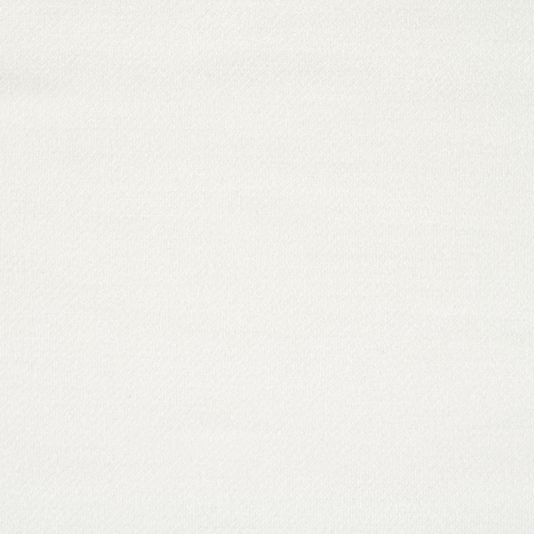 VELVET, COTTON, SNOW WHITE (F000026988) - Texture